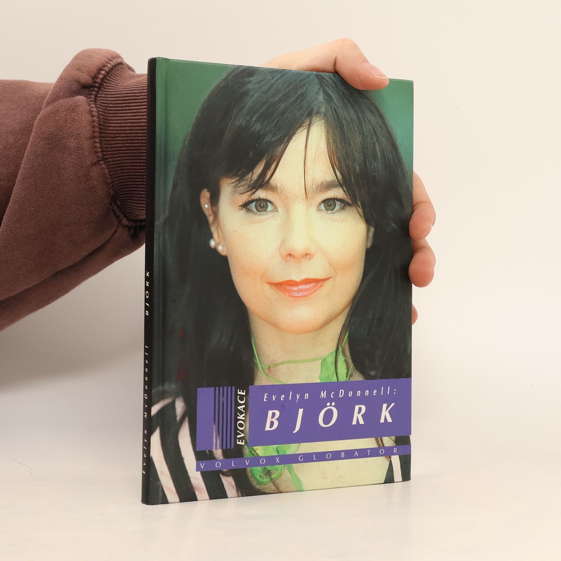 Evelyn McDonnell Björk