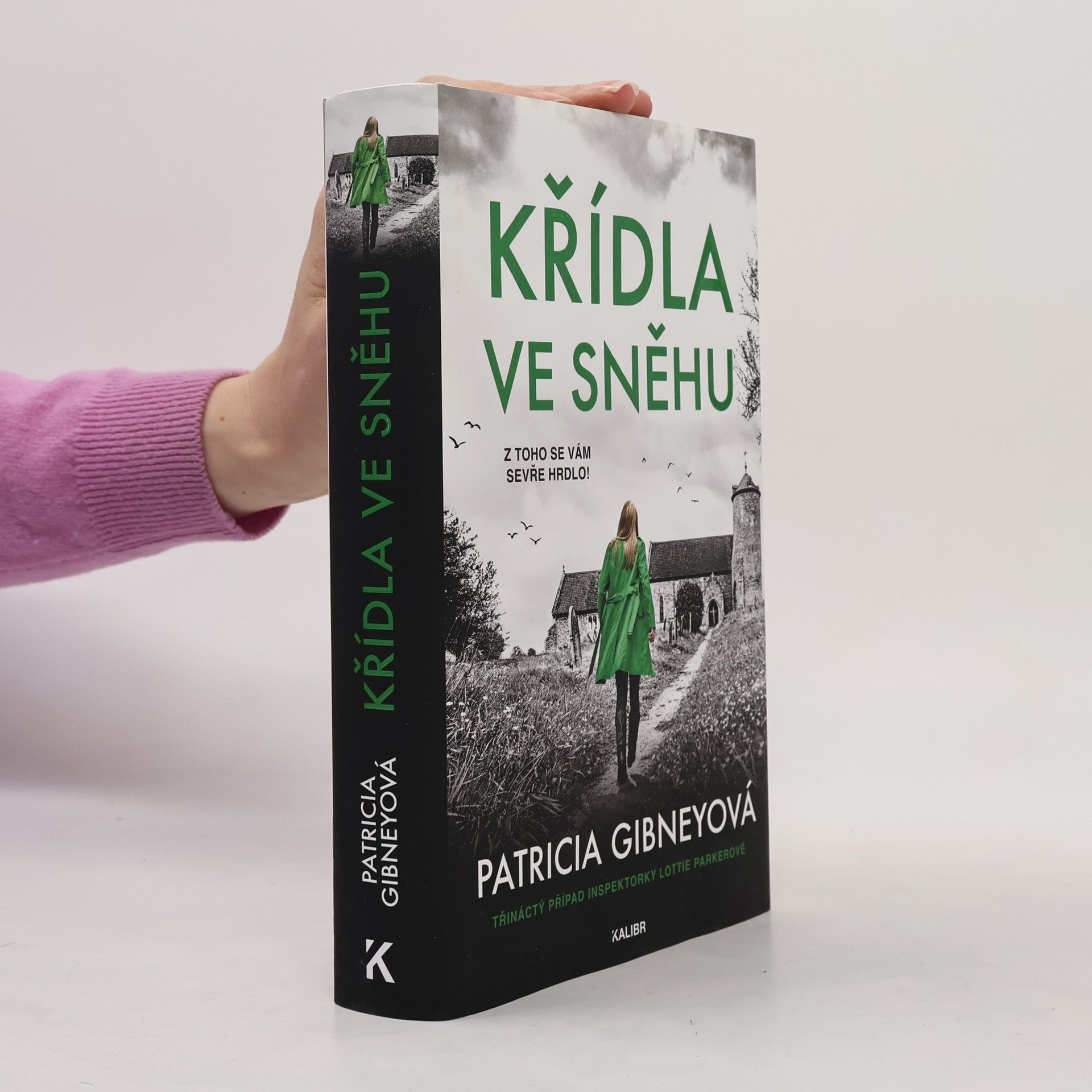 Patricia Gibney Křídla ve sněhu