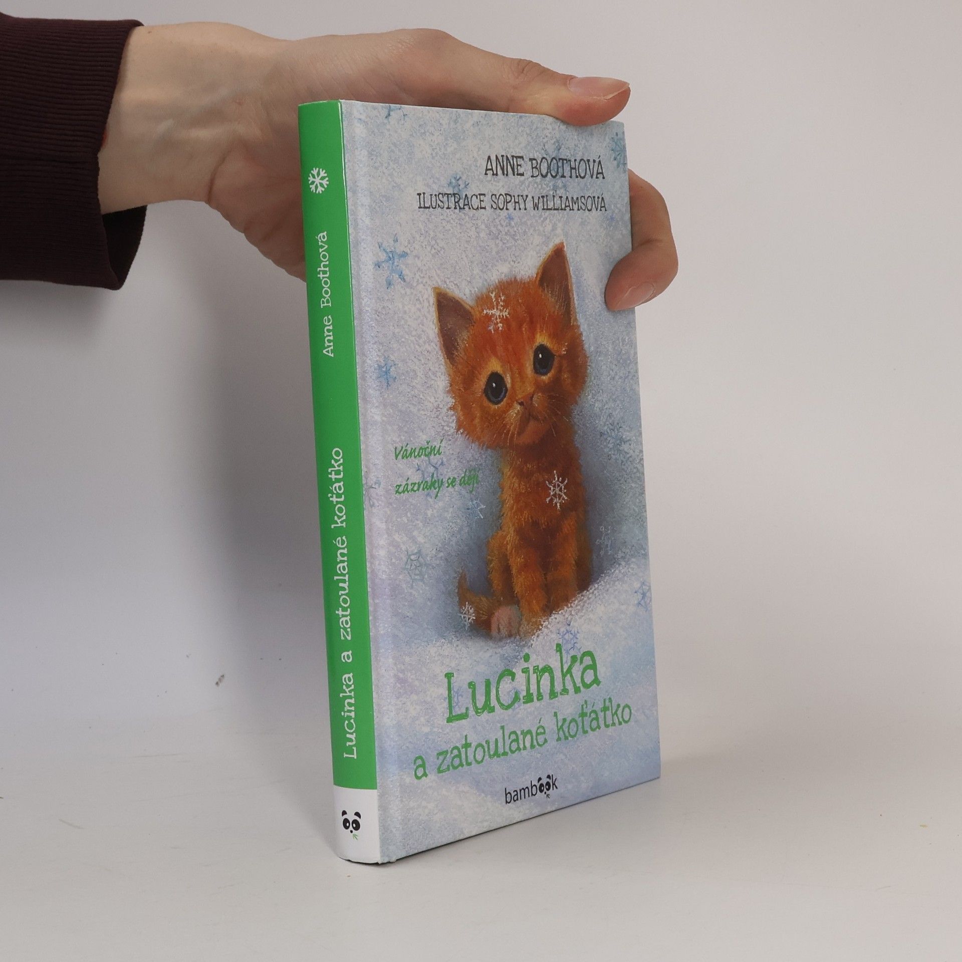 Anne Booth Lucinka a zatoulané koťátko