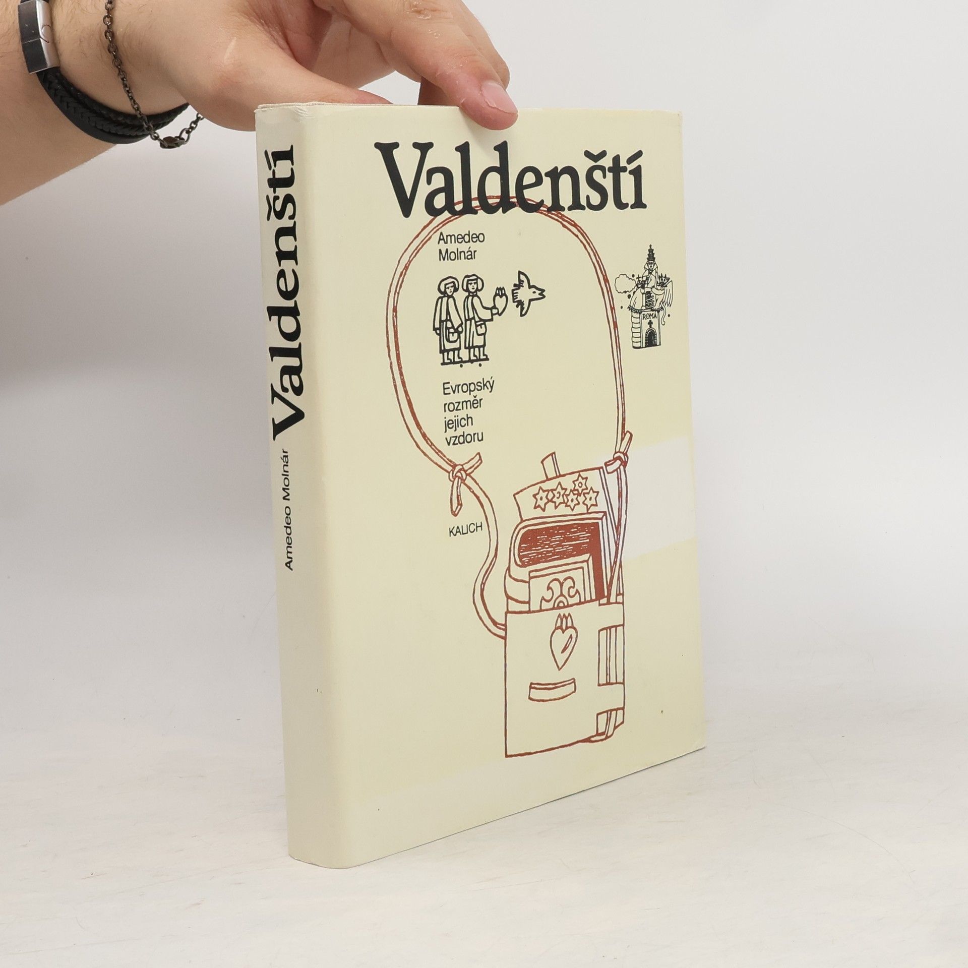 Amedeo Molnár Valdenští. Evropský rozměr jejich vzdoru