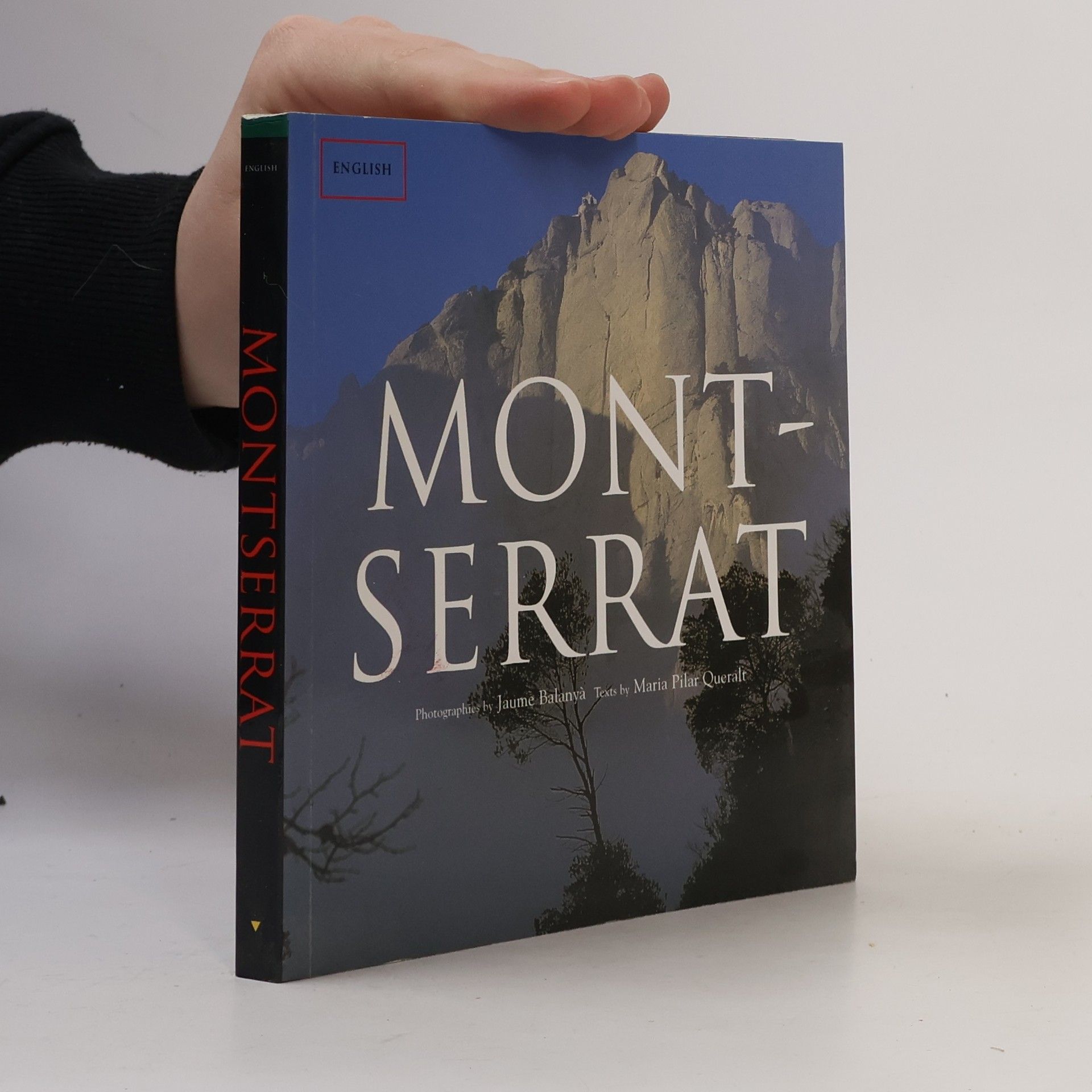 María Pilar Queralt del Hierro Sèrie 4 - 4: Montserrat