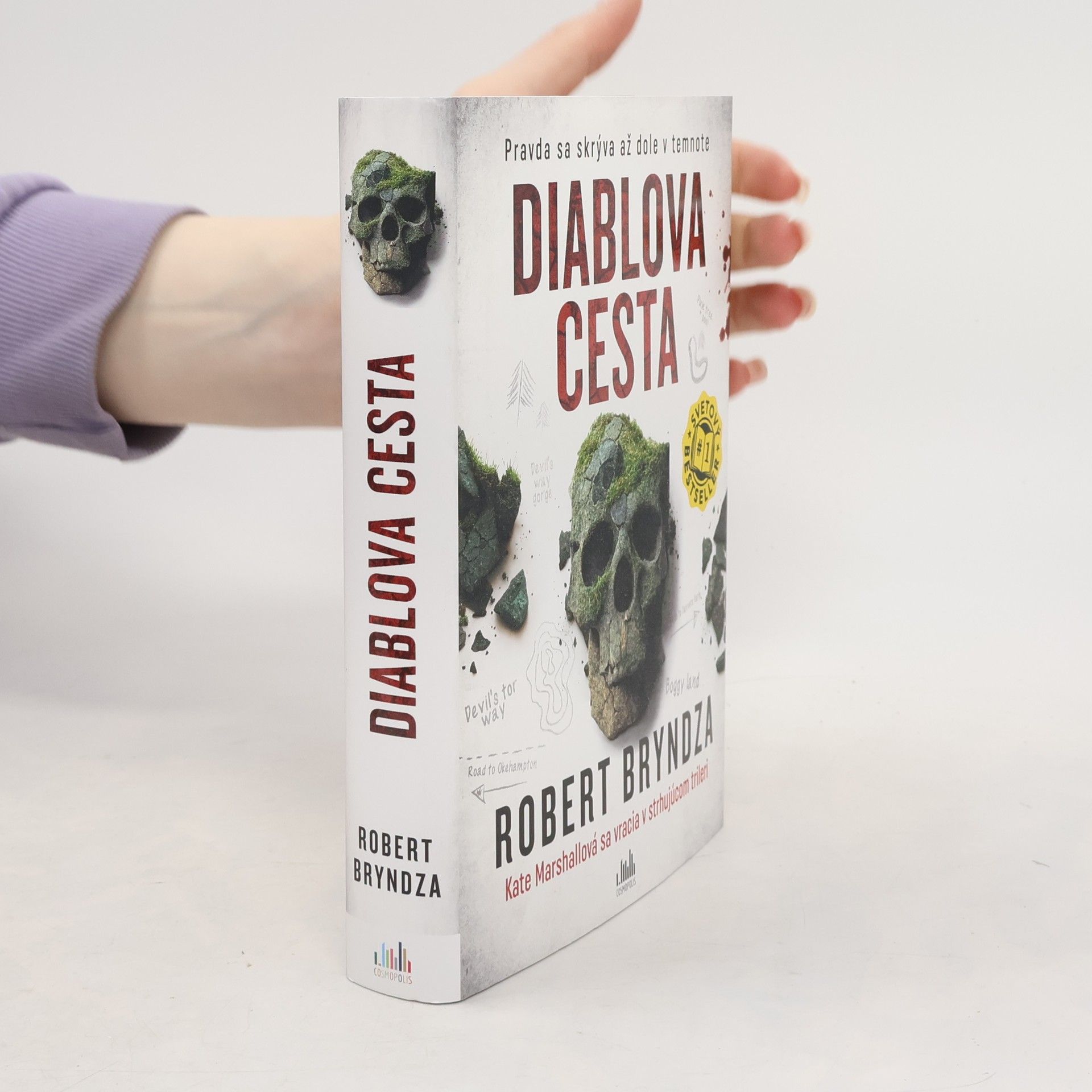 Robert Bryndza Diablova cesta