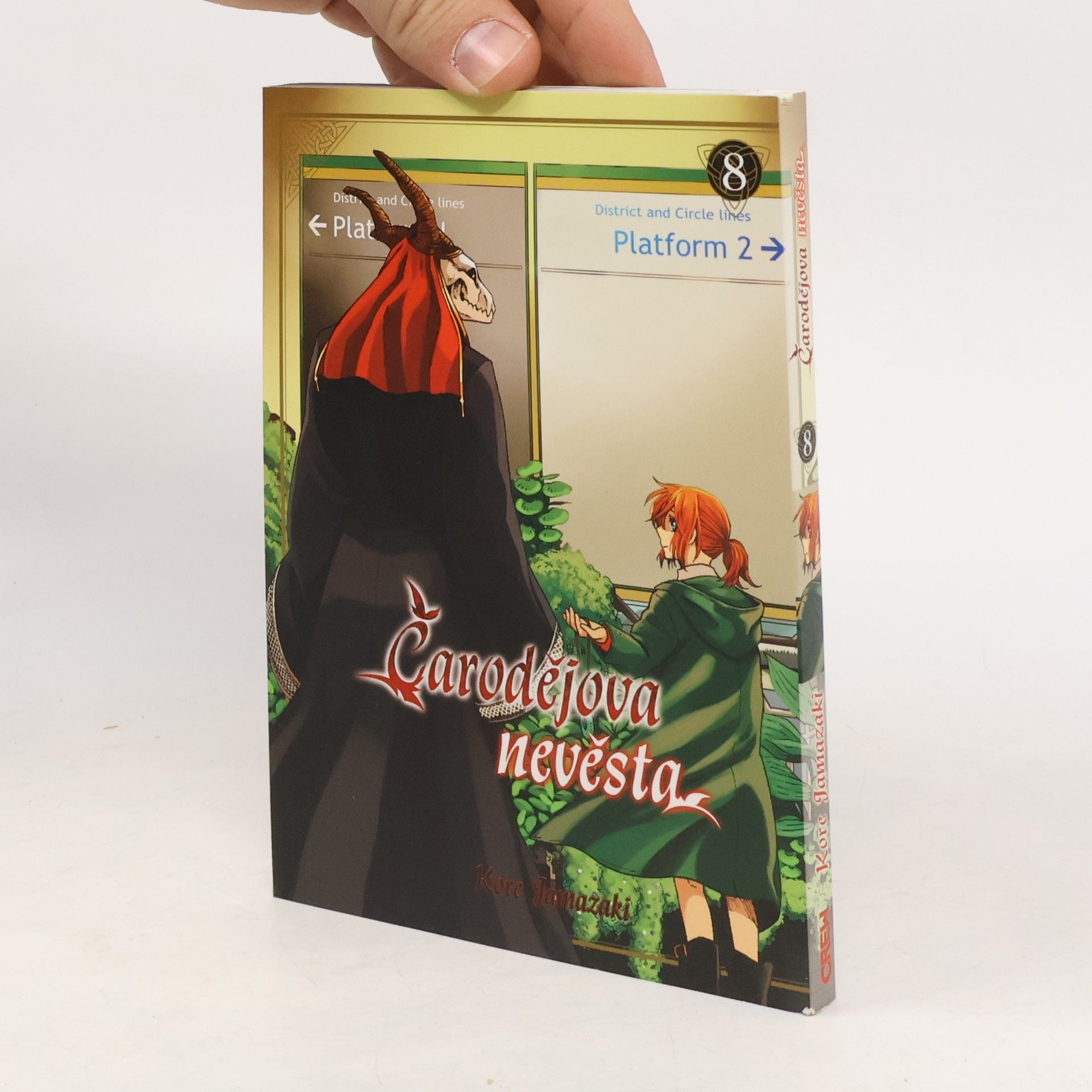Kore Yamazaki Čarodějova nevěsta 8