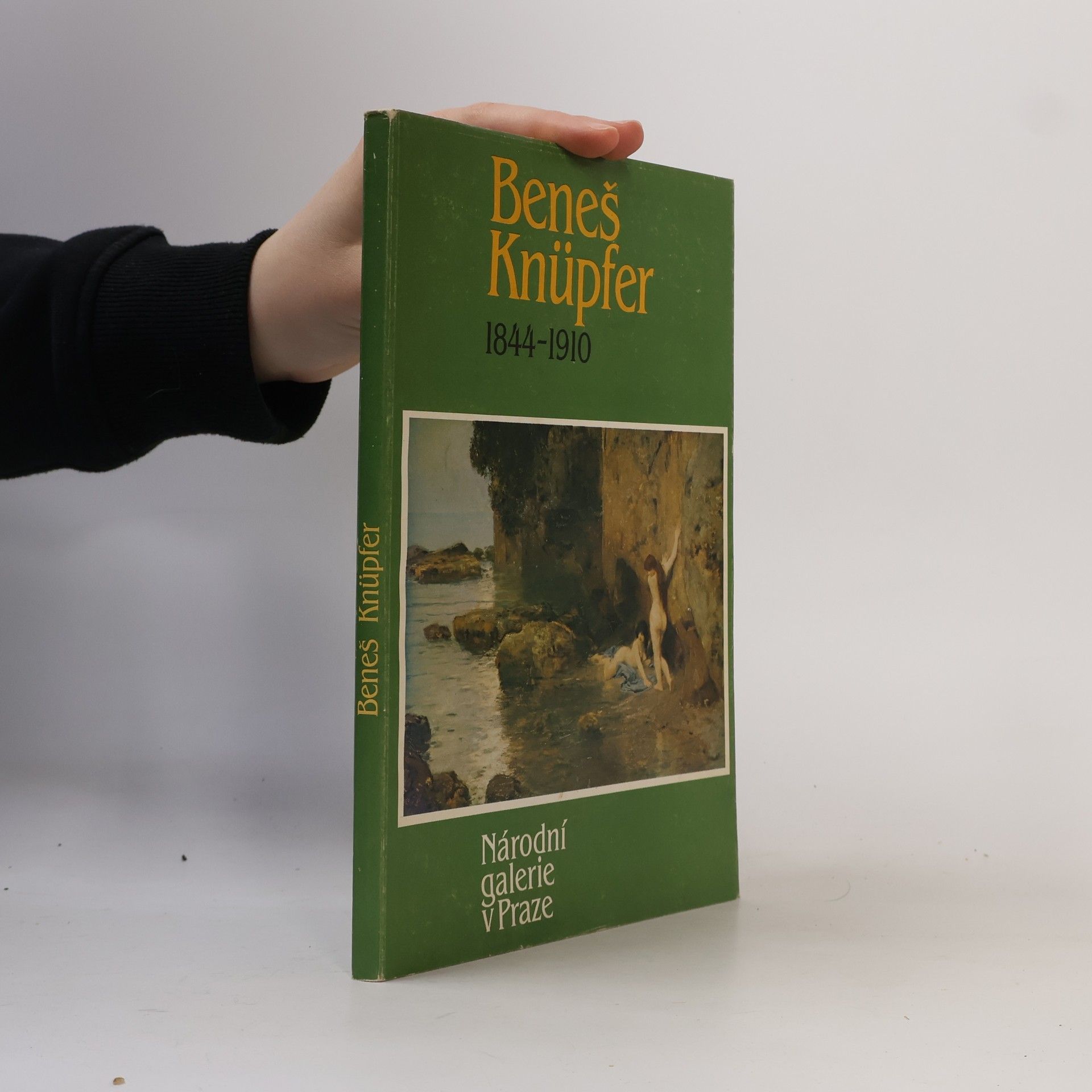 Kolektiv autorů Beneš Knüpfer: 1844-1910
