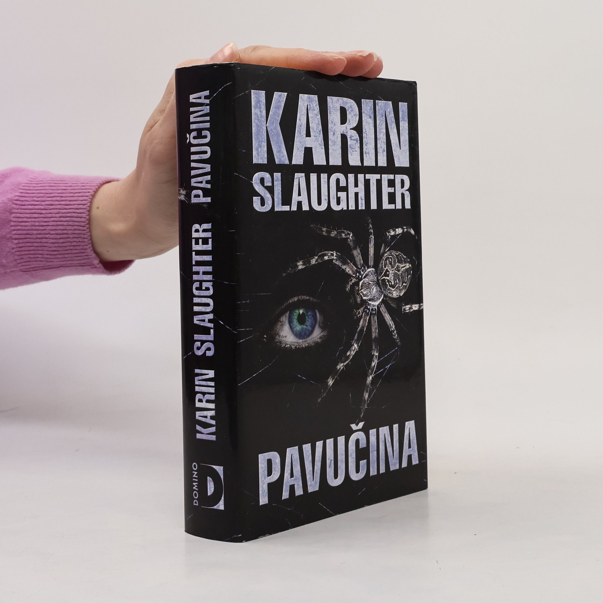 Karin Slaughter Pavučina