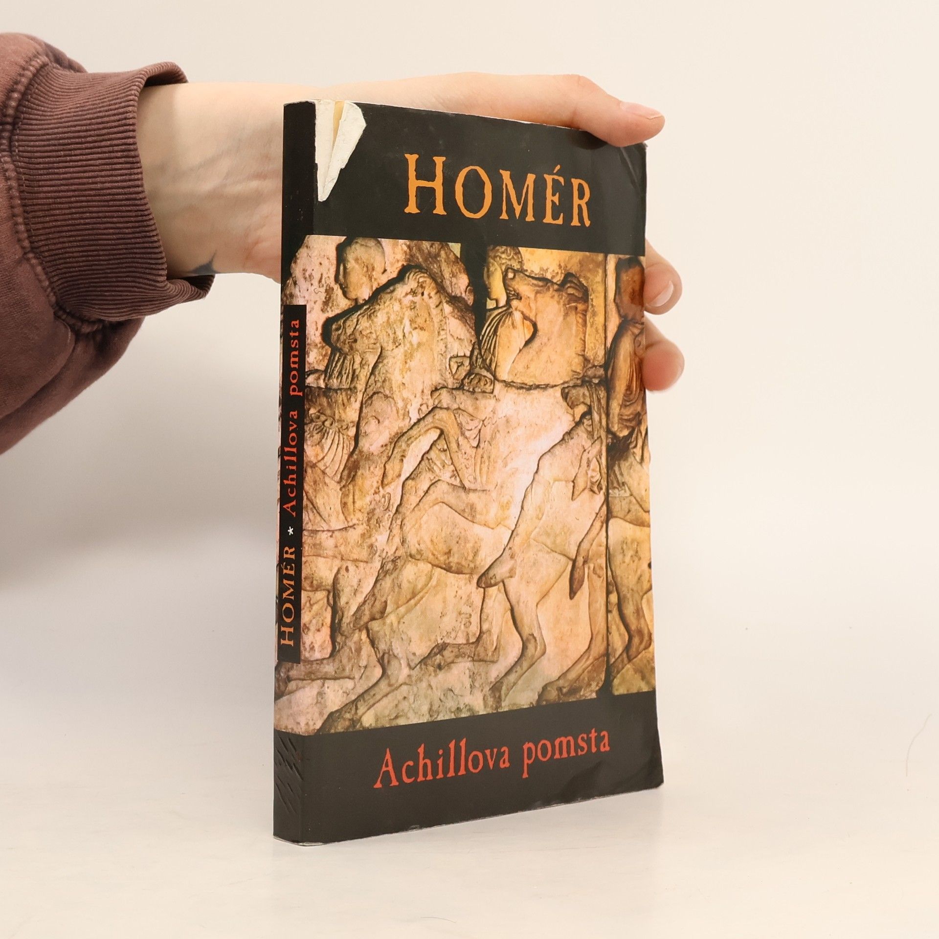 Homér Achilleova pomsta