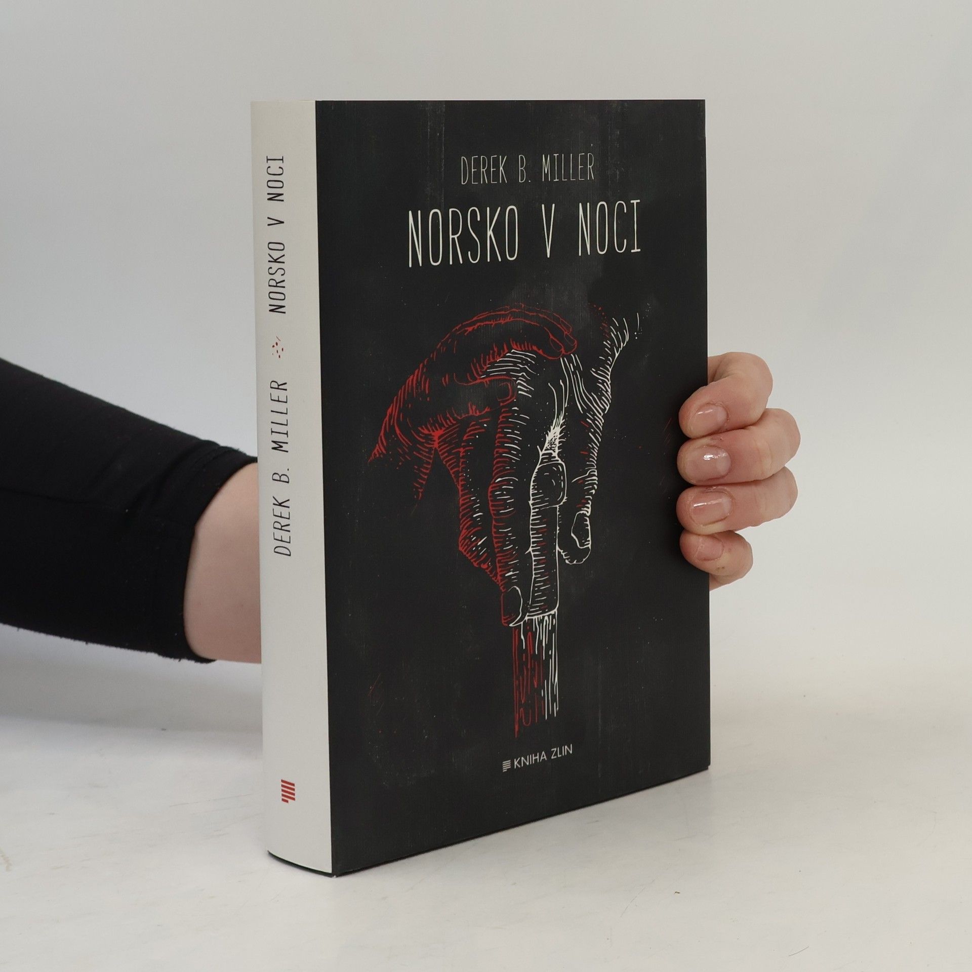 Derek B. Miller Norsko v noci