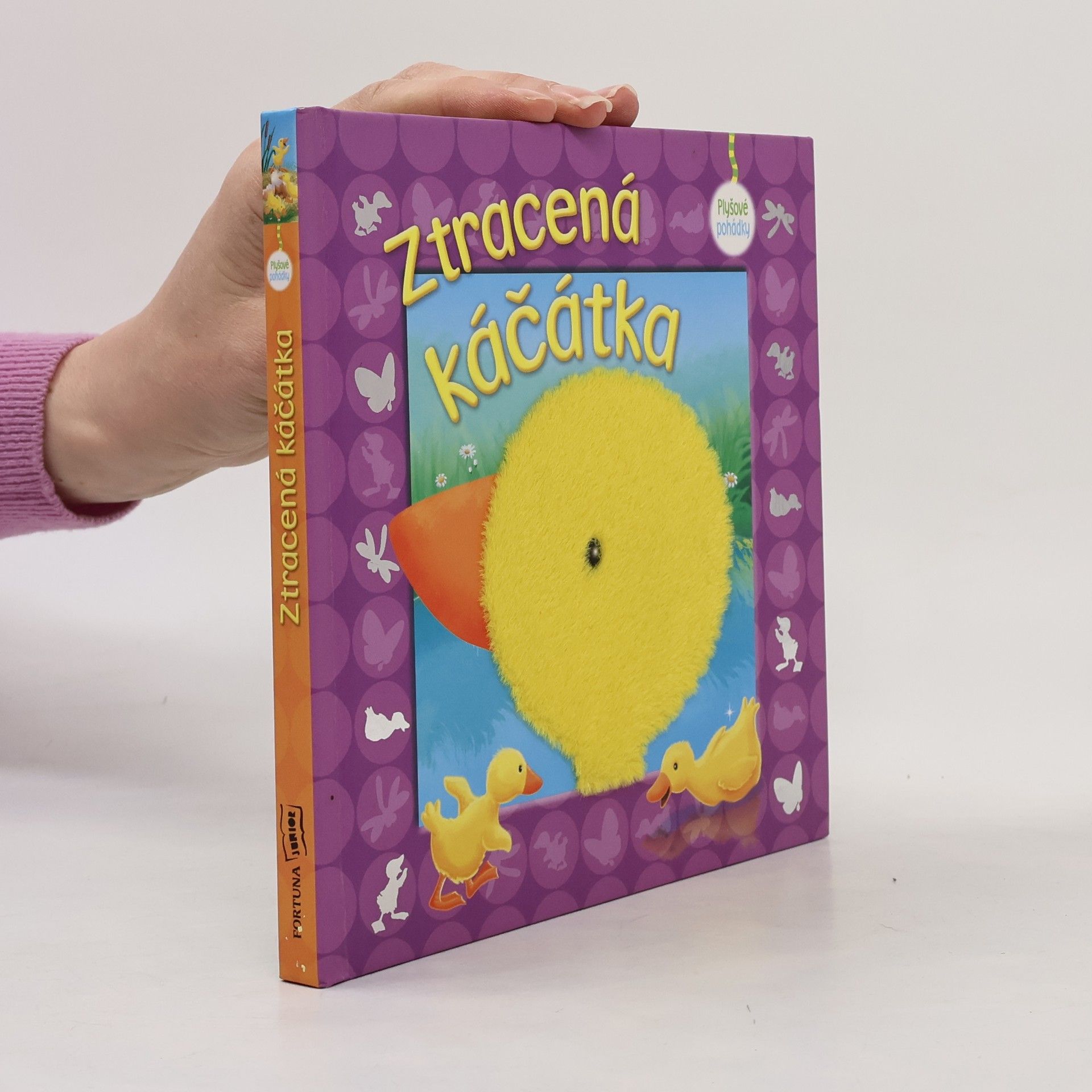 Kolektív autorov Ztracená káčátka
