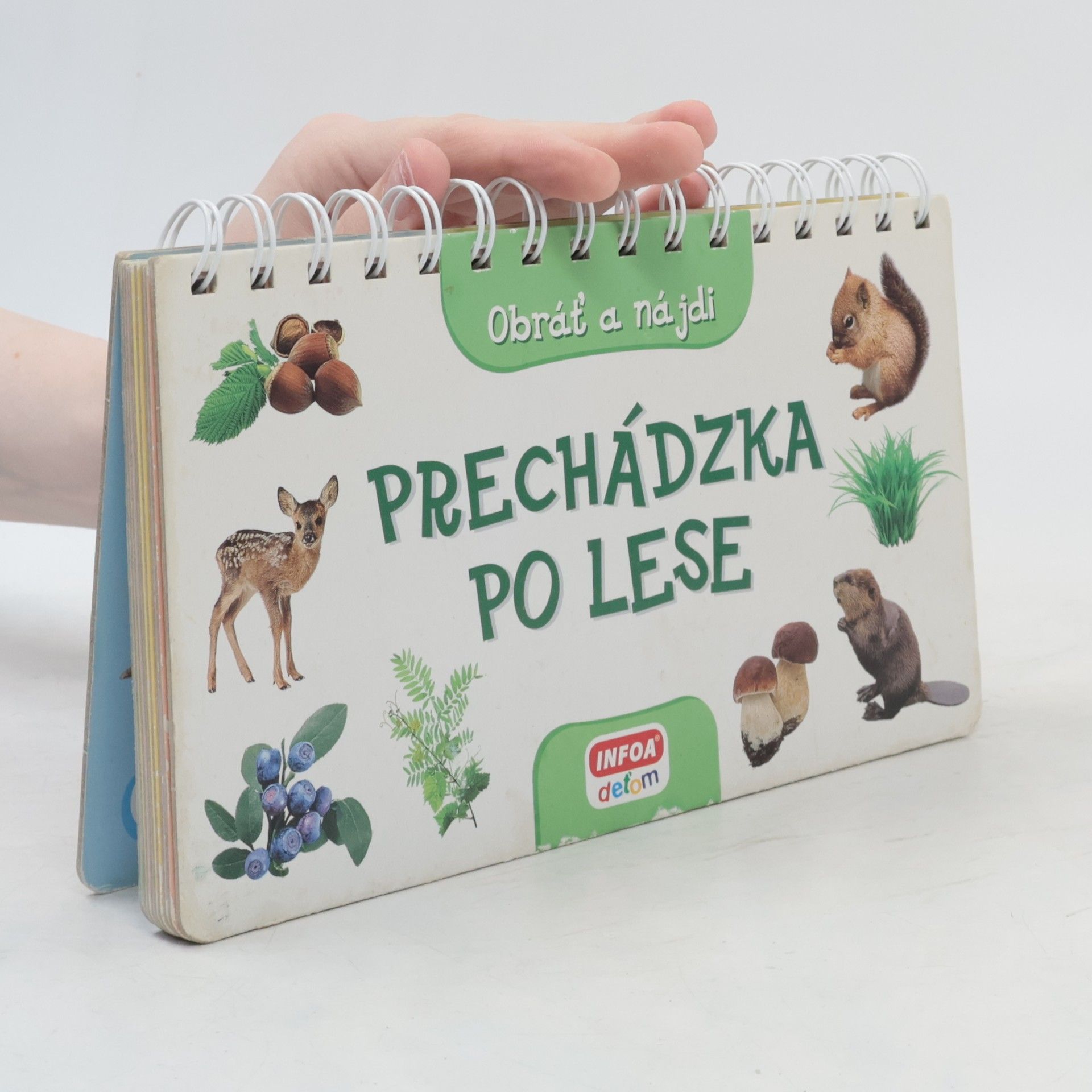 Autorenkollektiv Prechádzka po lese