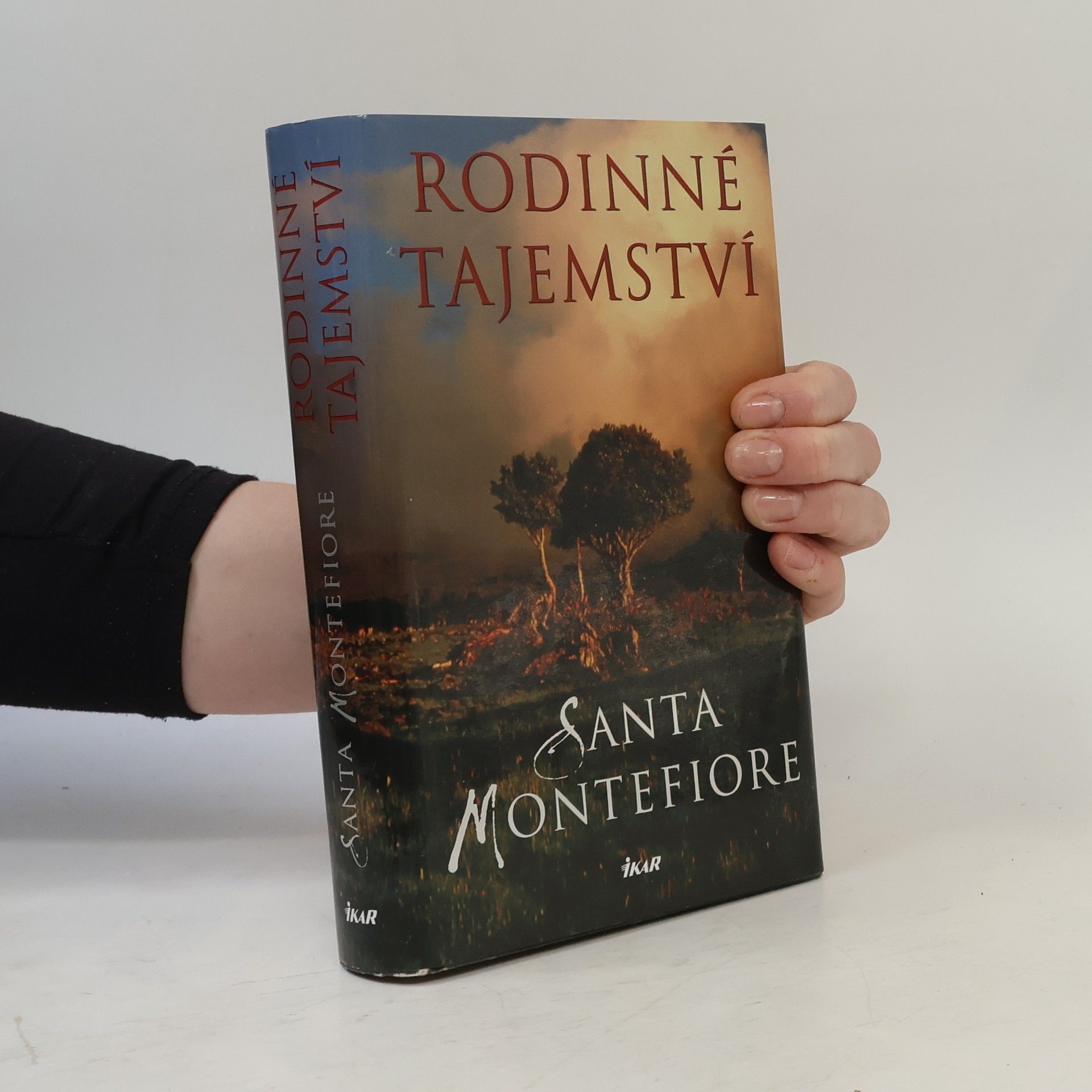 Santa Montefiore Rodinné tajemství