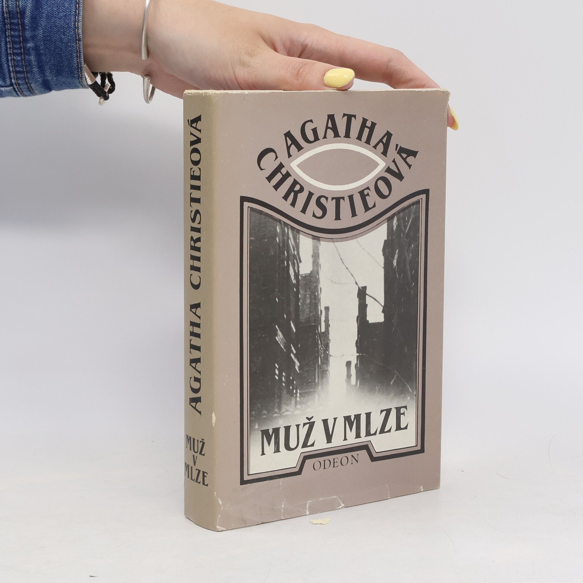 Agatha Christie Muž v mlze