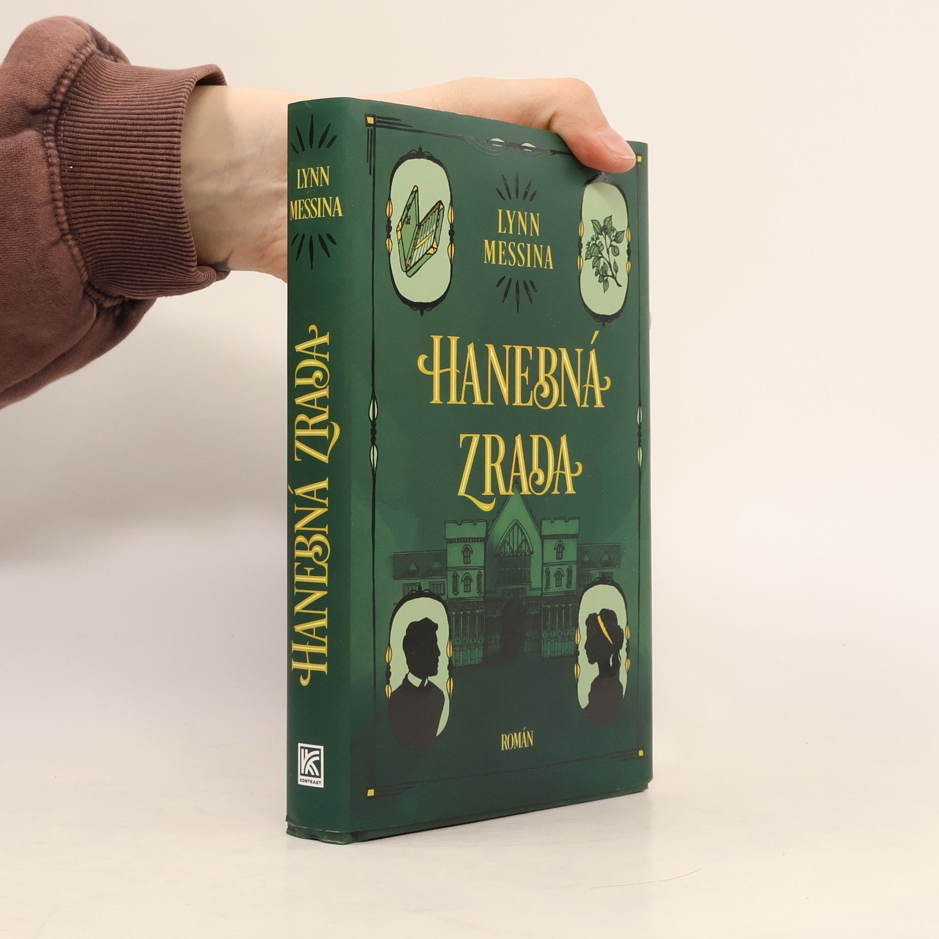 Lynn Messina Hanebná zrada