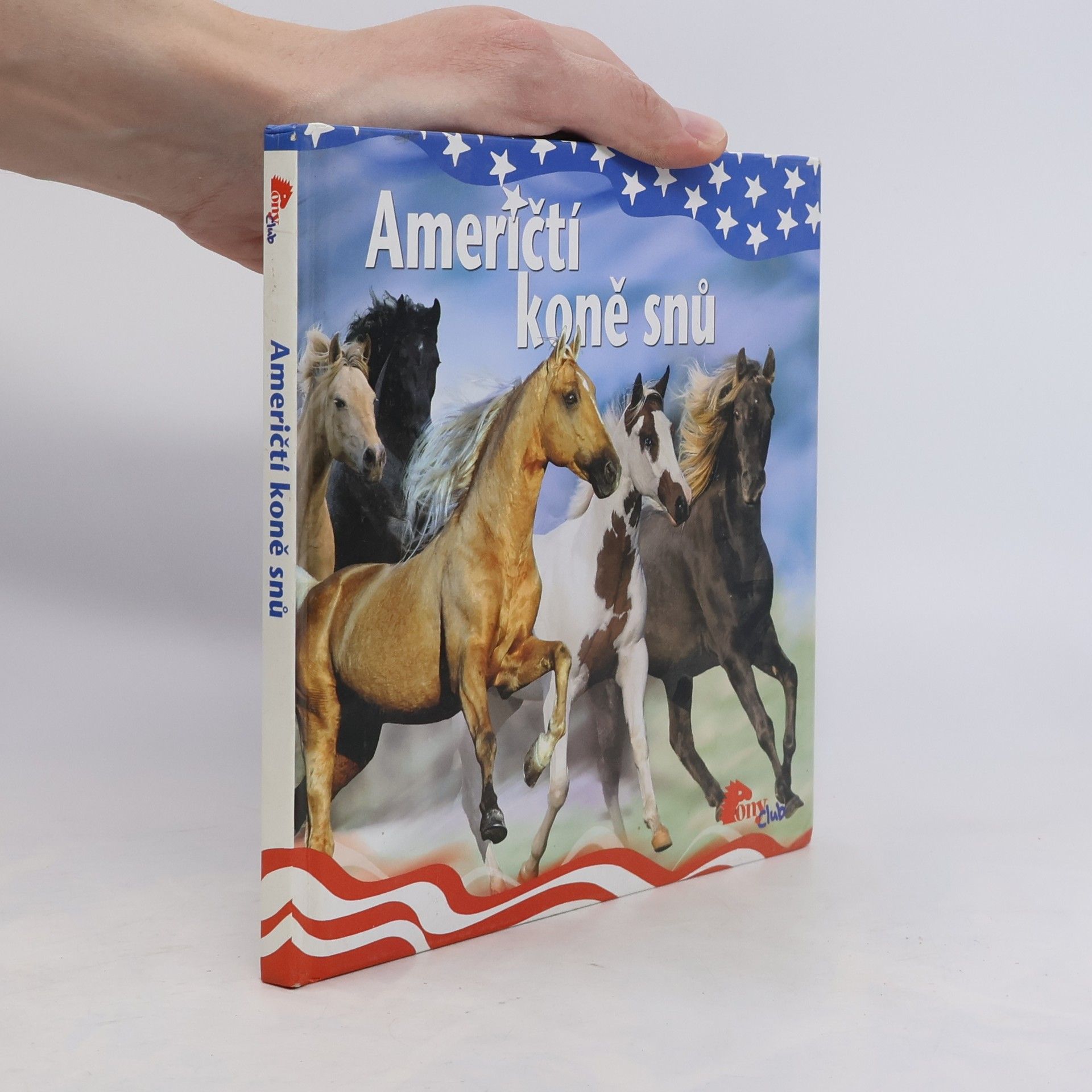 Autorenkollektiv Američtí koně snů