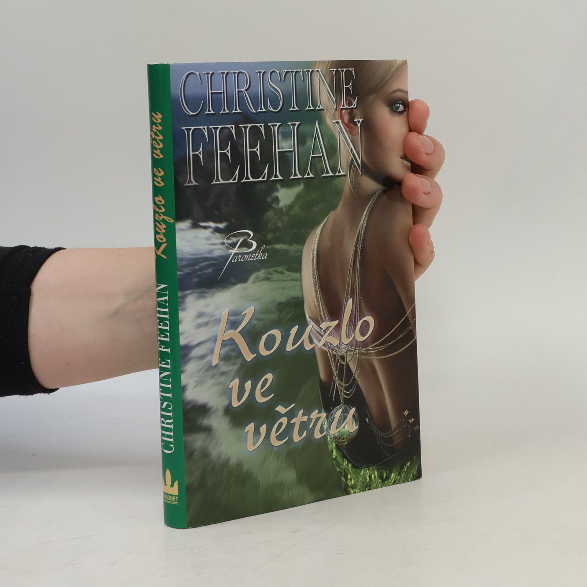 Christine Feehan Kouzlo ve větru