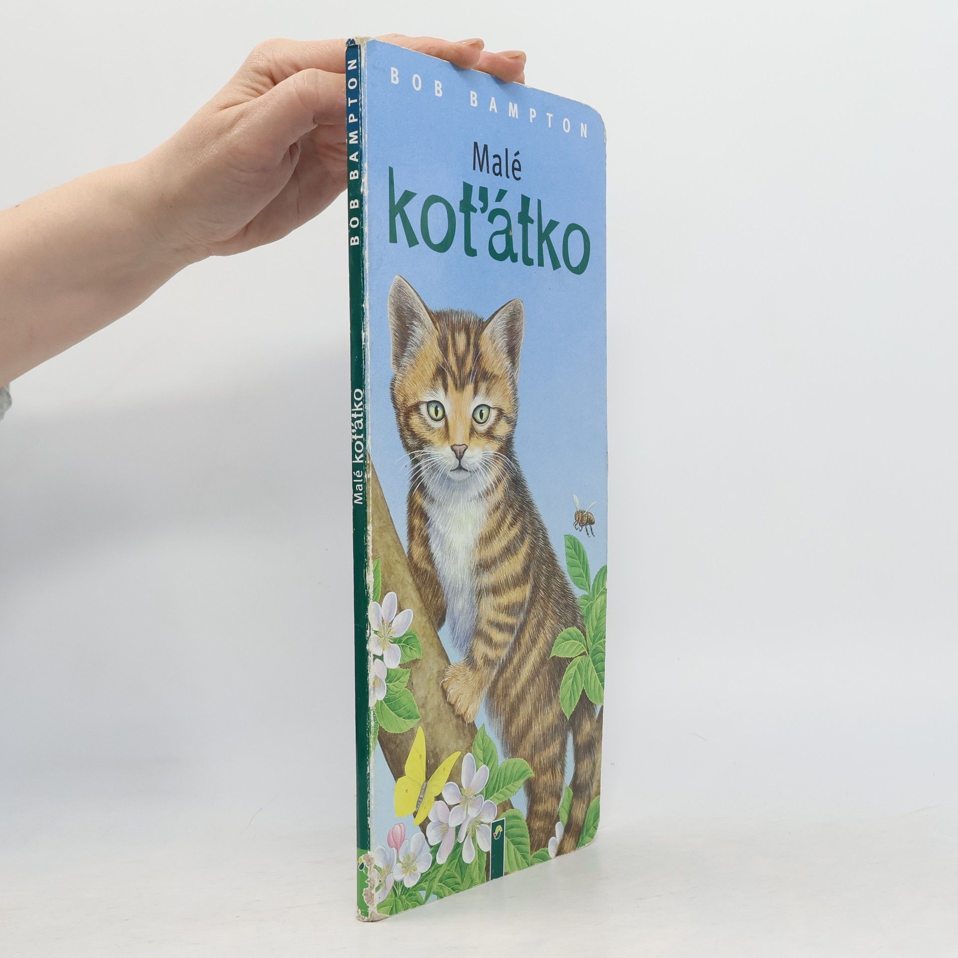 Bob Bampton Malé koťátko