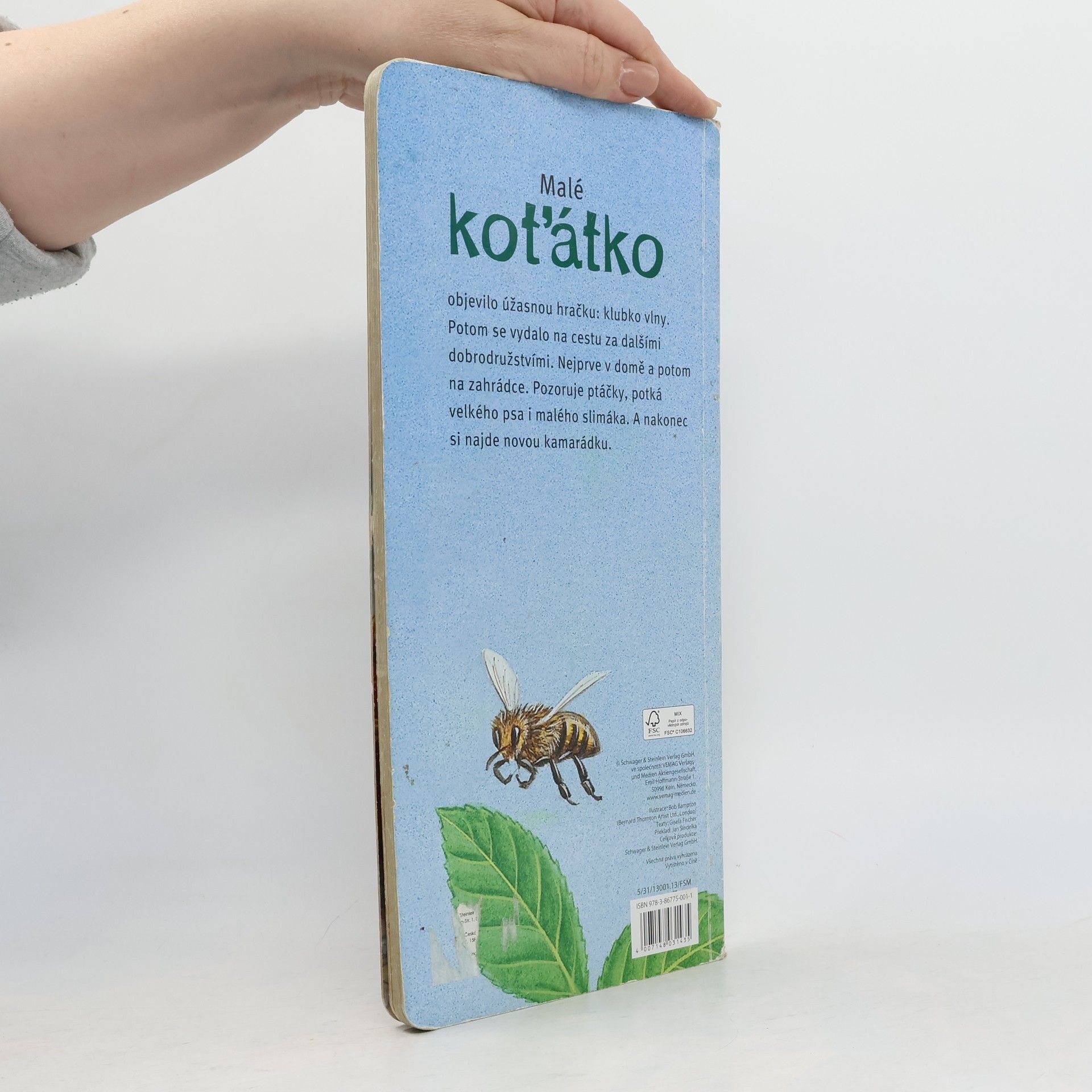 Bob Bampton Malé koťátko