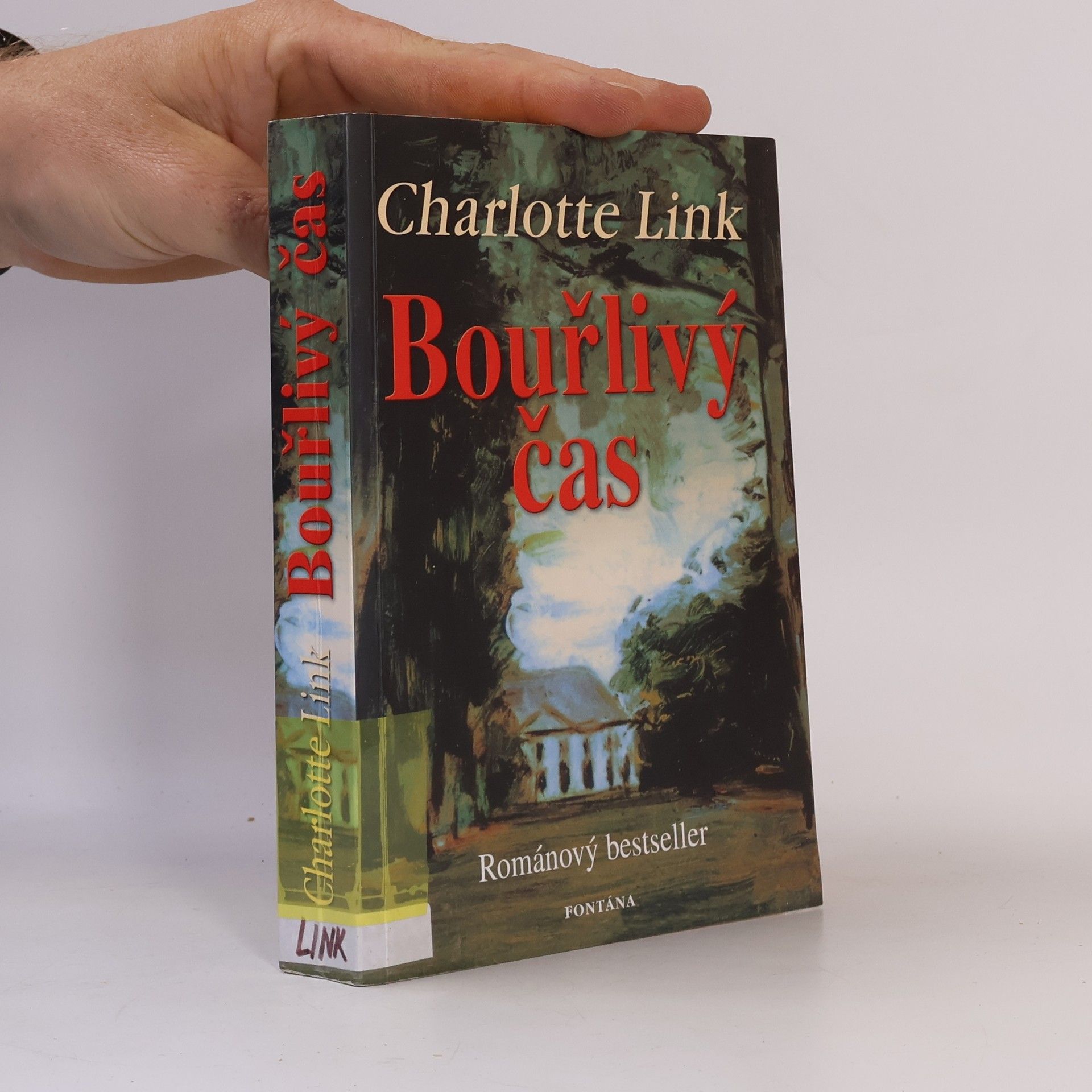 Charlotte Link Bouřlivý čas