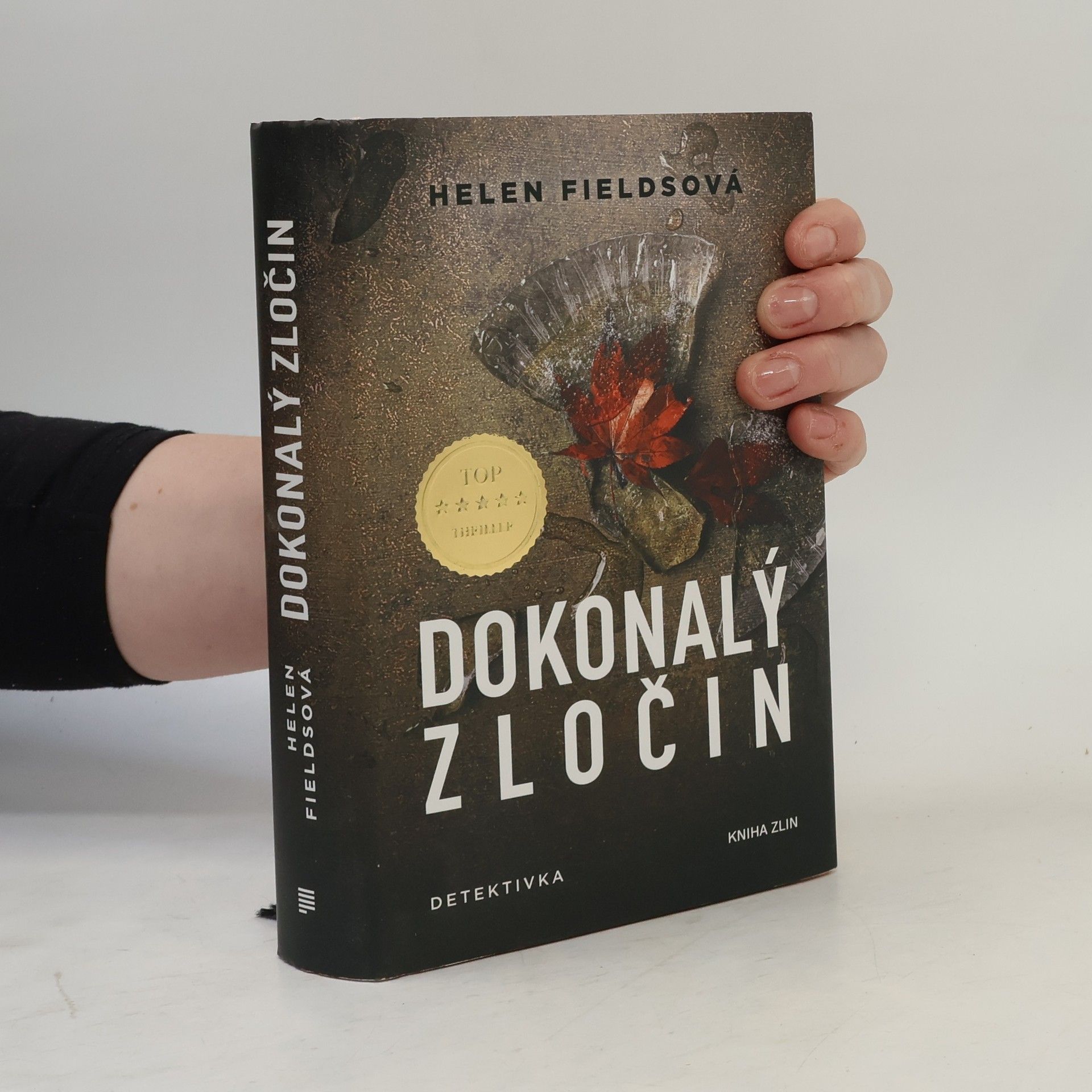 Helen Fields Dokonalý zločin