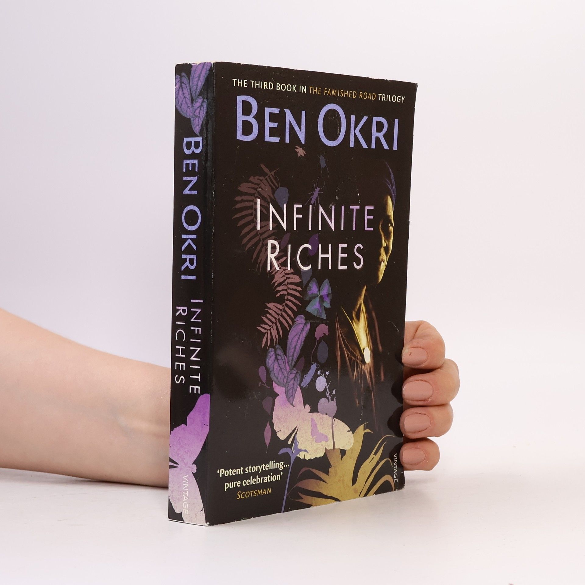 Ben Okri Infinite Riches