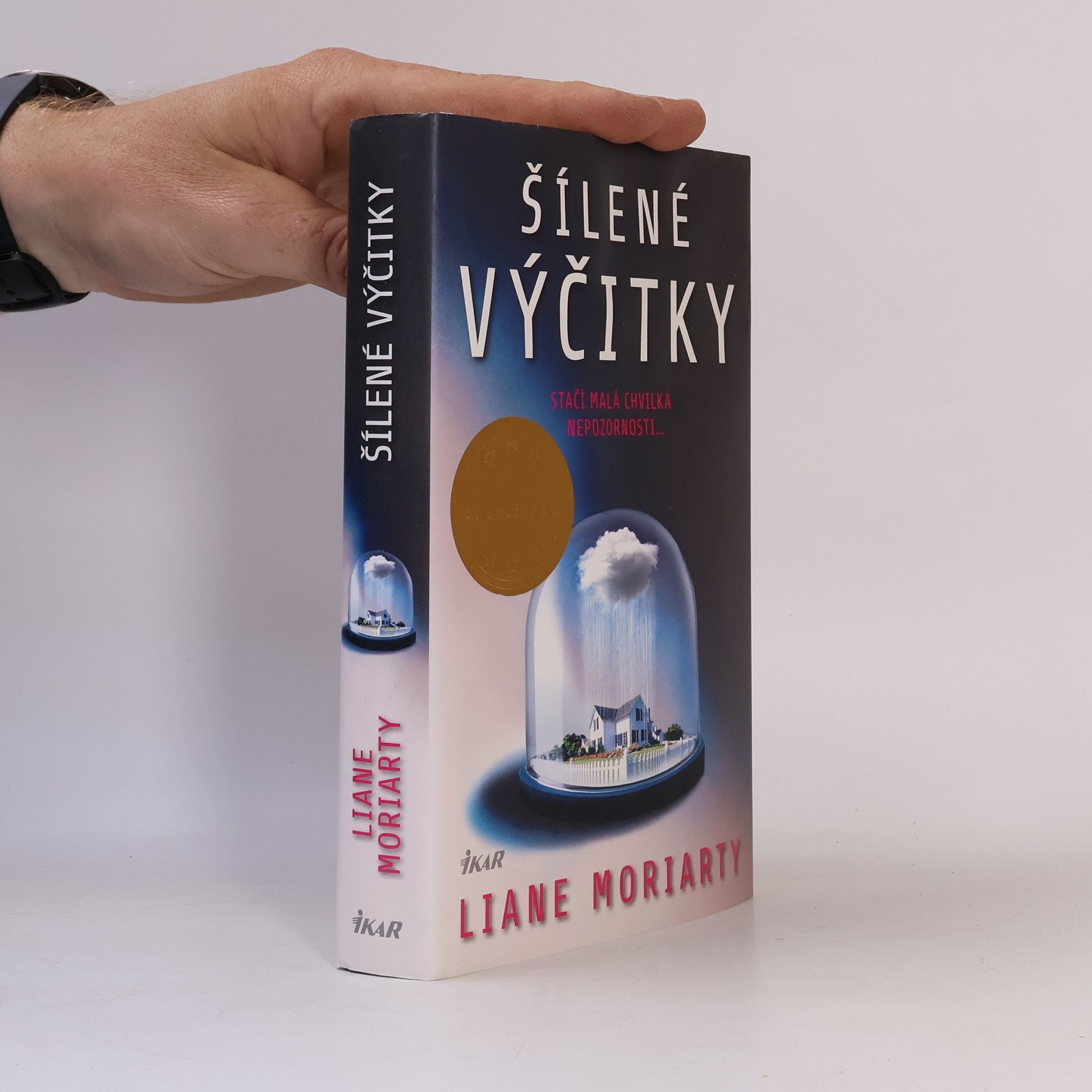 Liane Moriarty Šílené výčitky