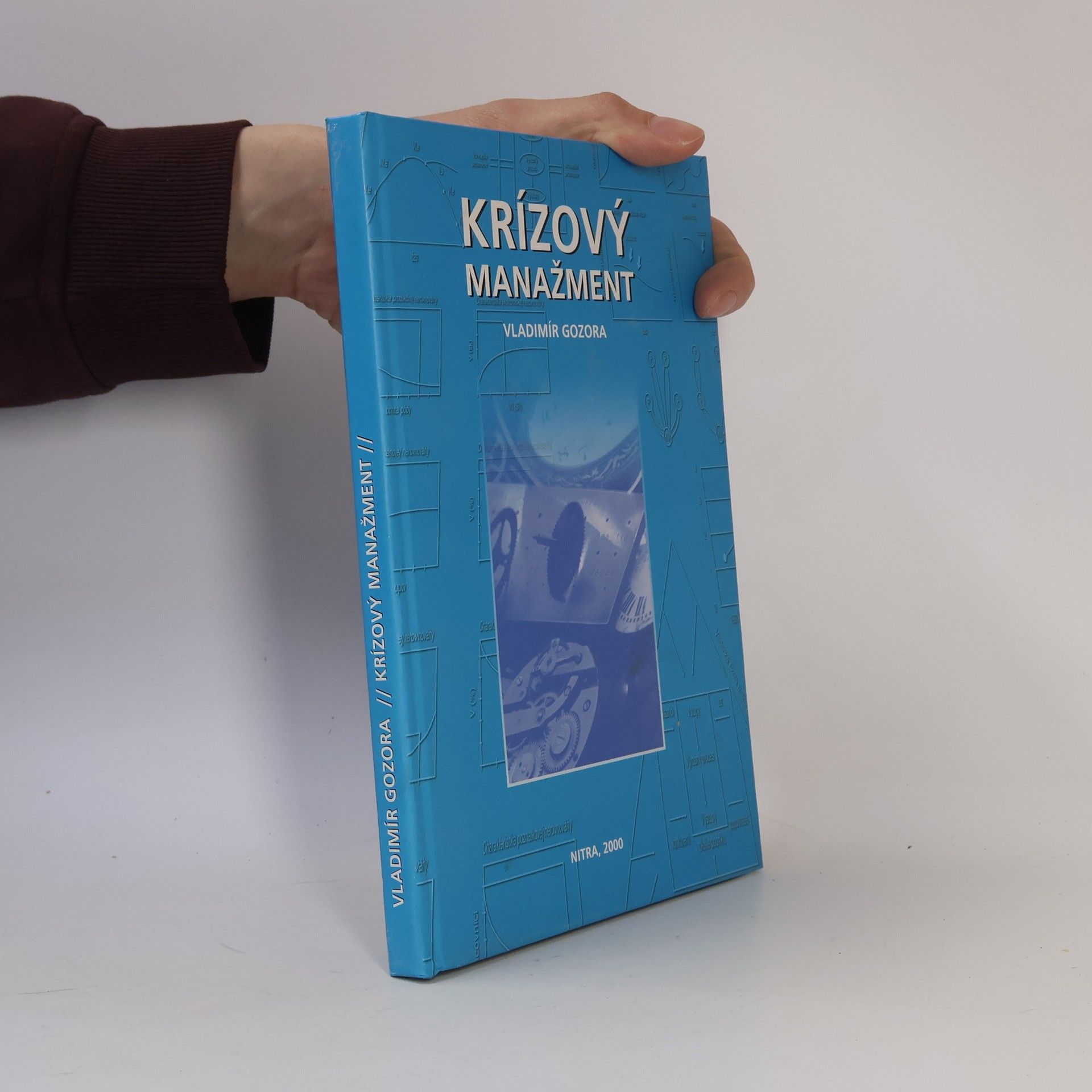 Vladimír Gozora Krízový manažment