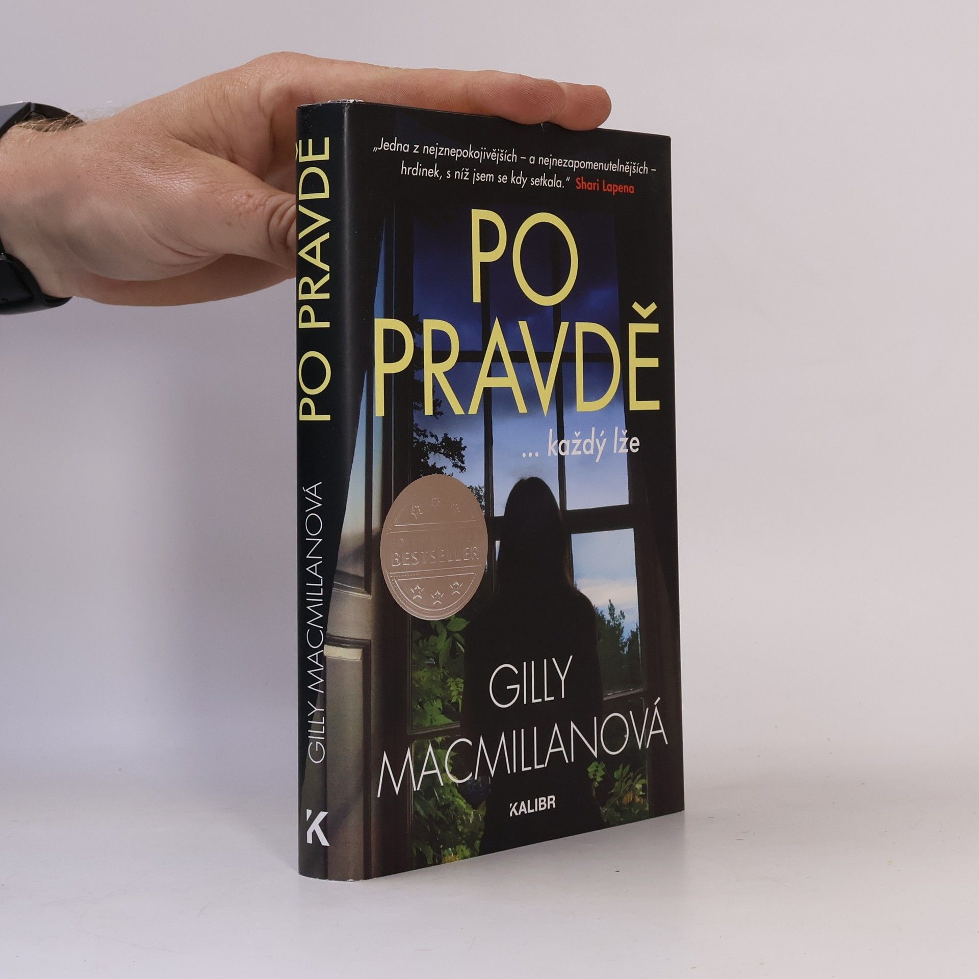 Gilly Macmillan Po pravdě ...každý lže
