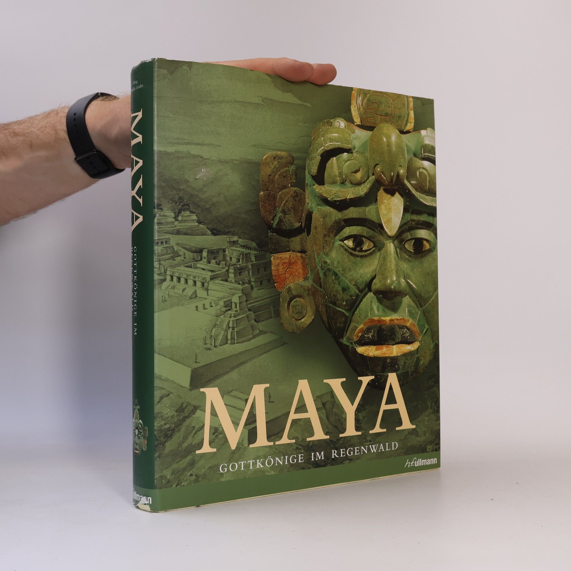 Nikolai Grube Maya