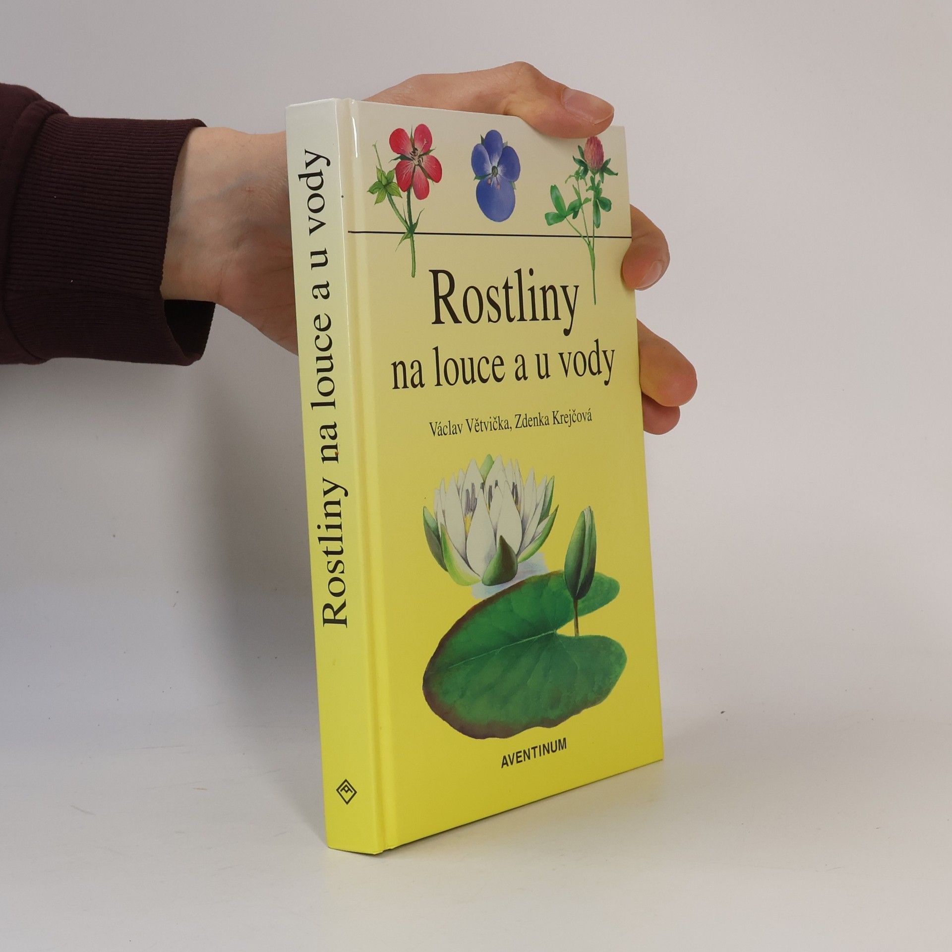 Václav Větvička Rostliny na louce a u vody