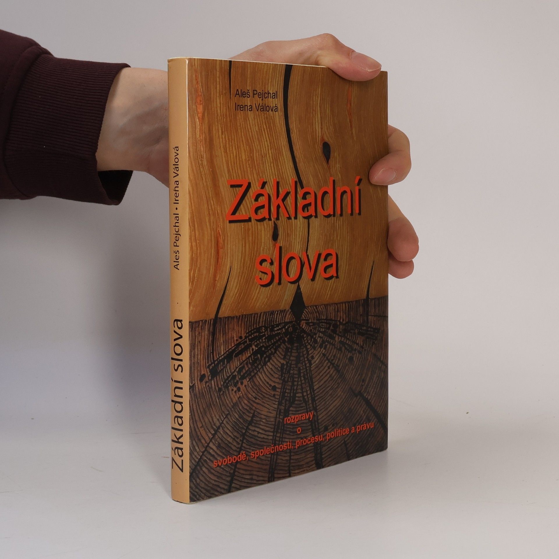 Základní slova : rozpravy o svobodě, společnosti, procesu, politice a právu