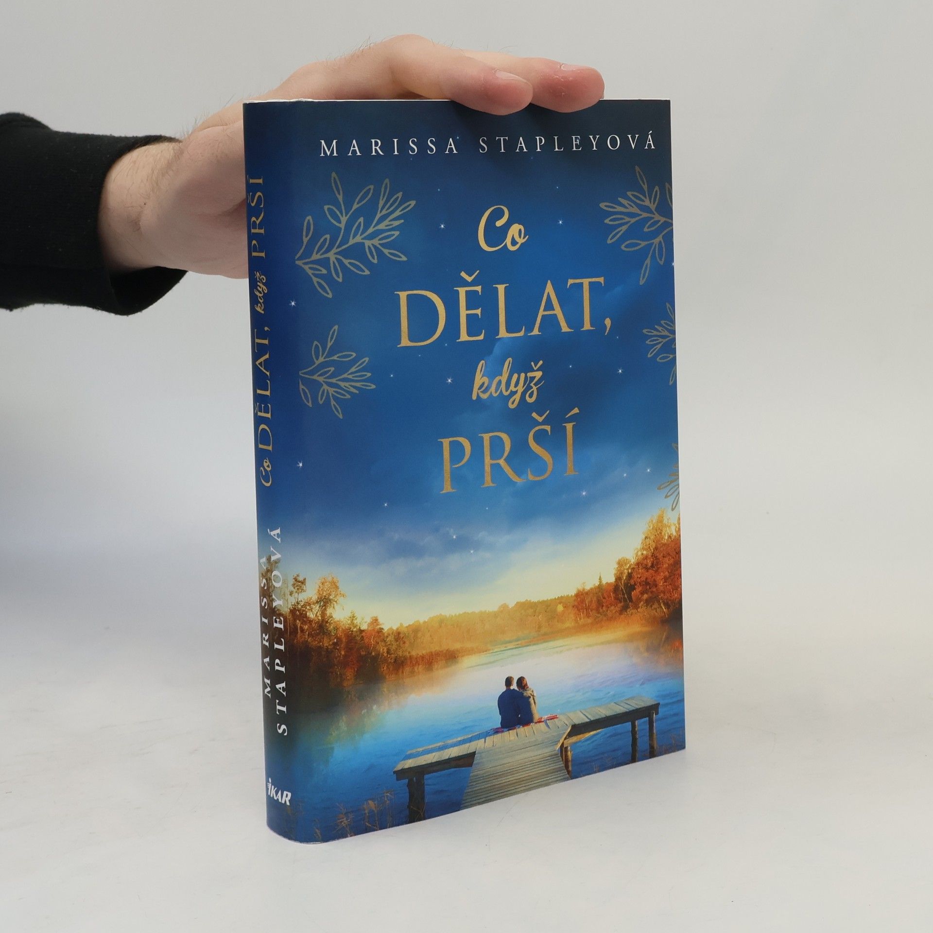 Marissa Stapley Co dělat, když prší