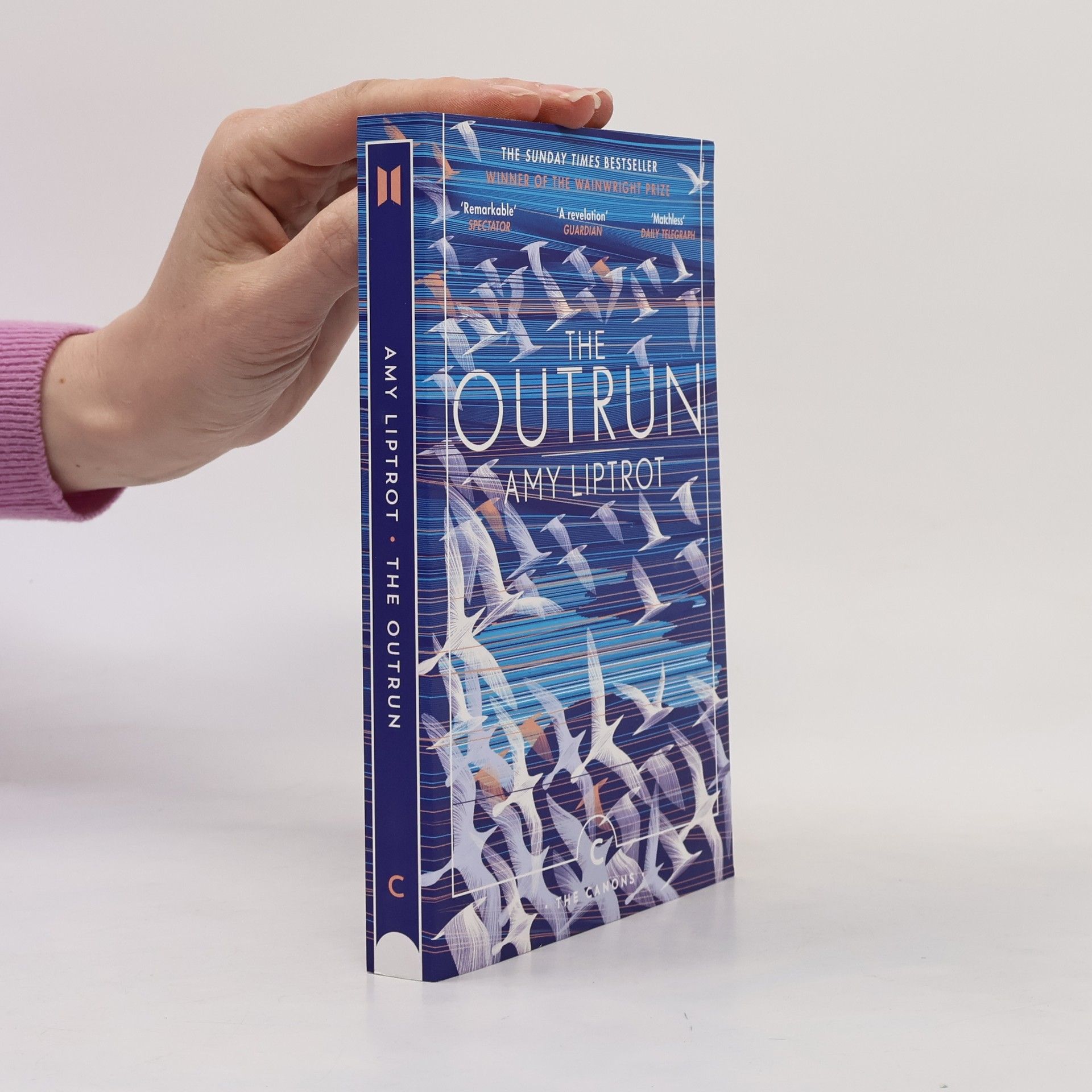 The Outrun