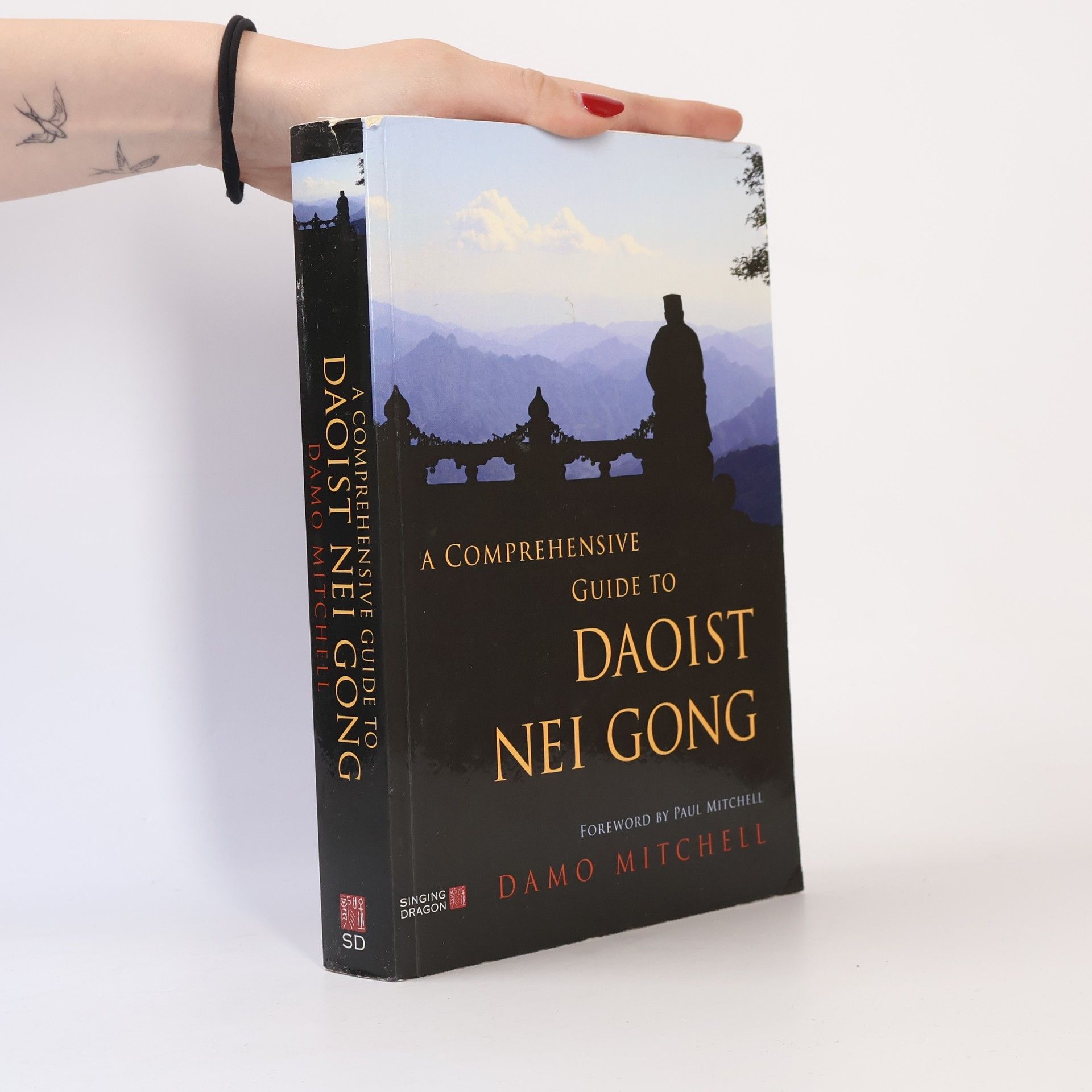Damo Mitchell A Comprehensive Guide to Daoist Nei Gong