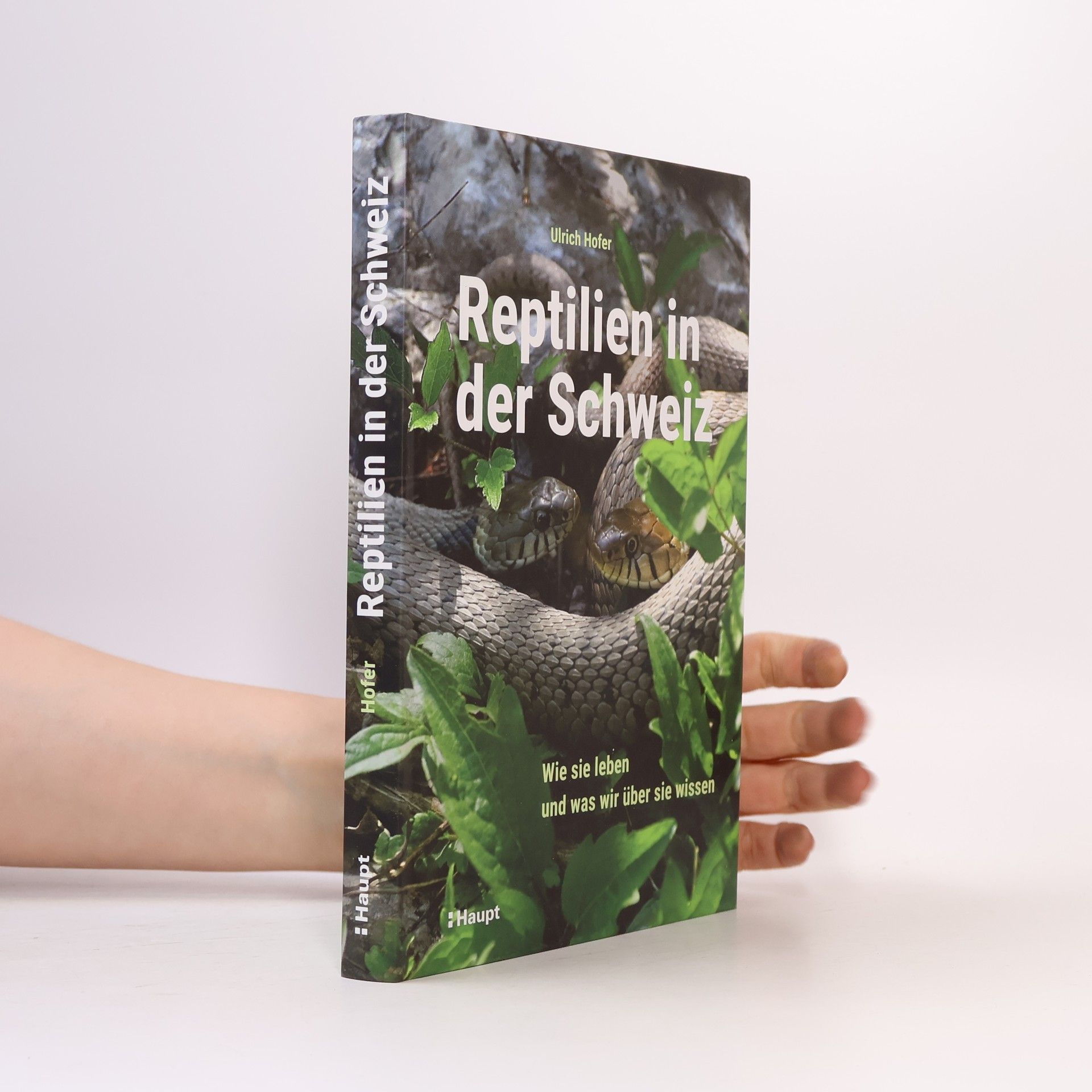 Ulrich Hofer Reptilien in der Schweiz