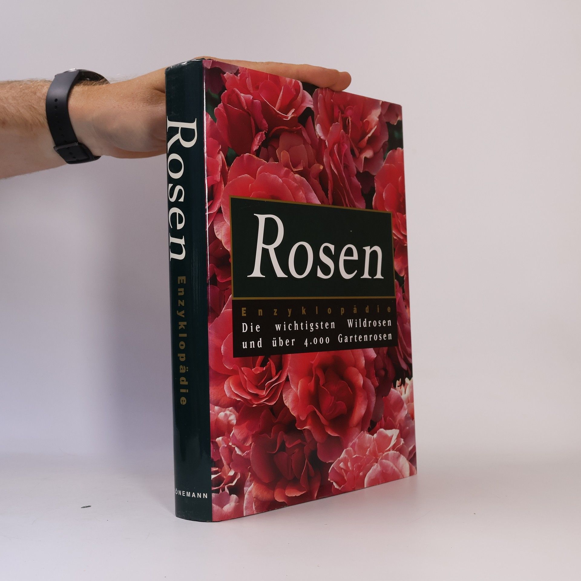 Peter Beales Rosen Enzyklopädie. Die wichtigsten Wildrosen und über 4000 Gartenrosen