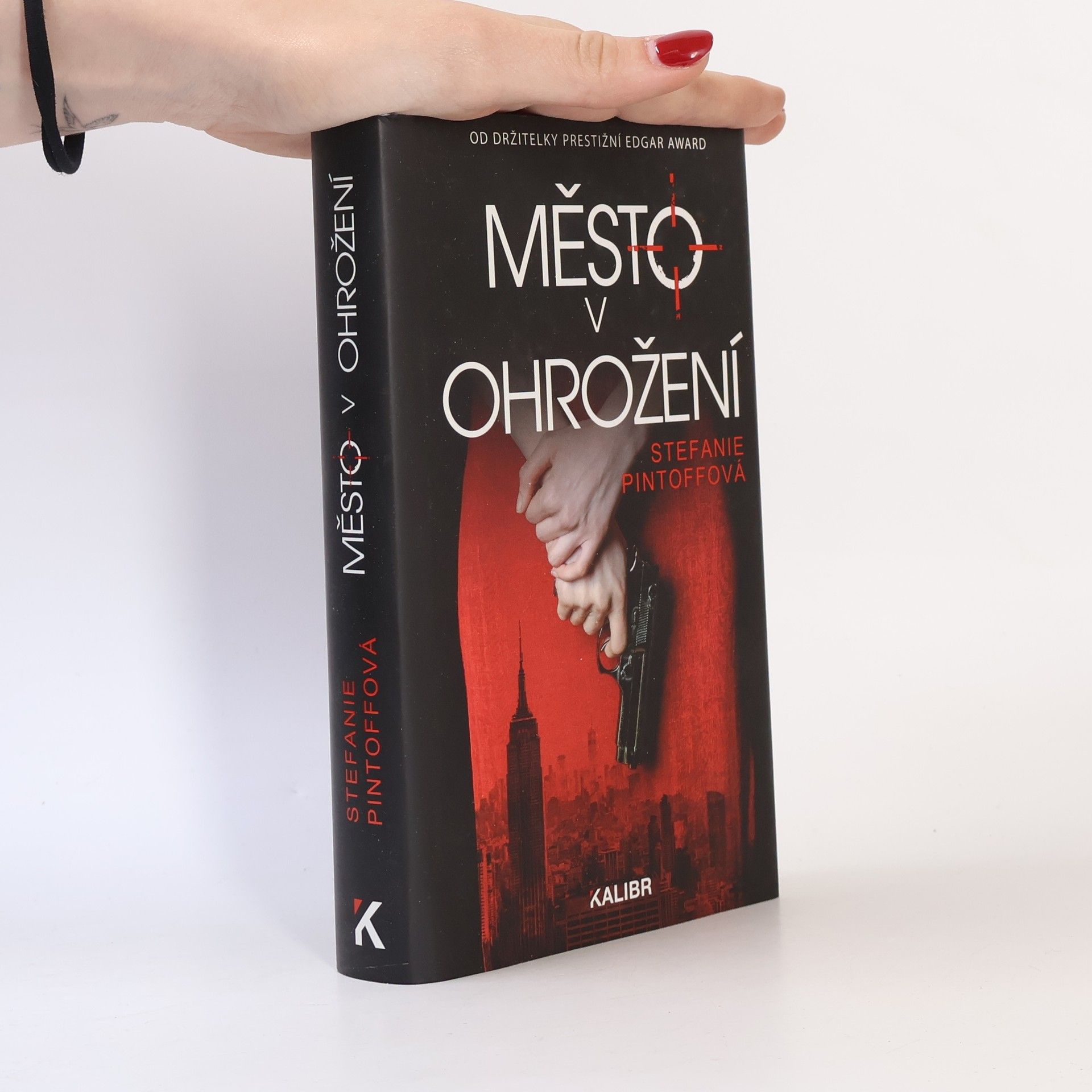 Pavel Pokorný Město v ohrožení