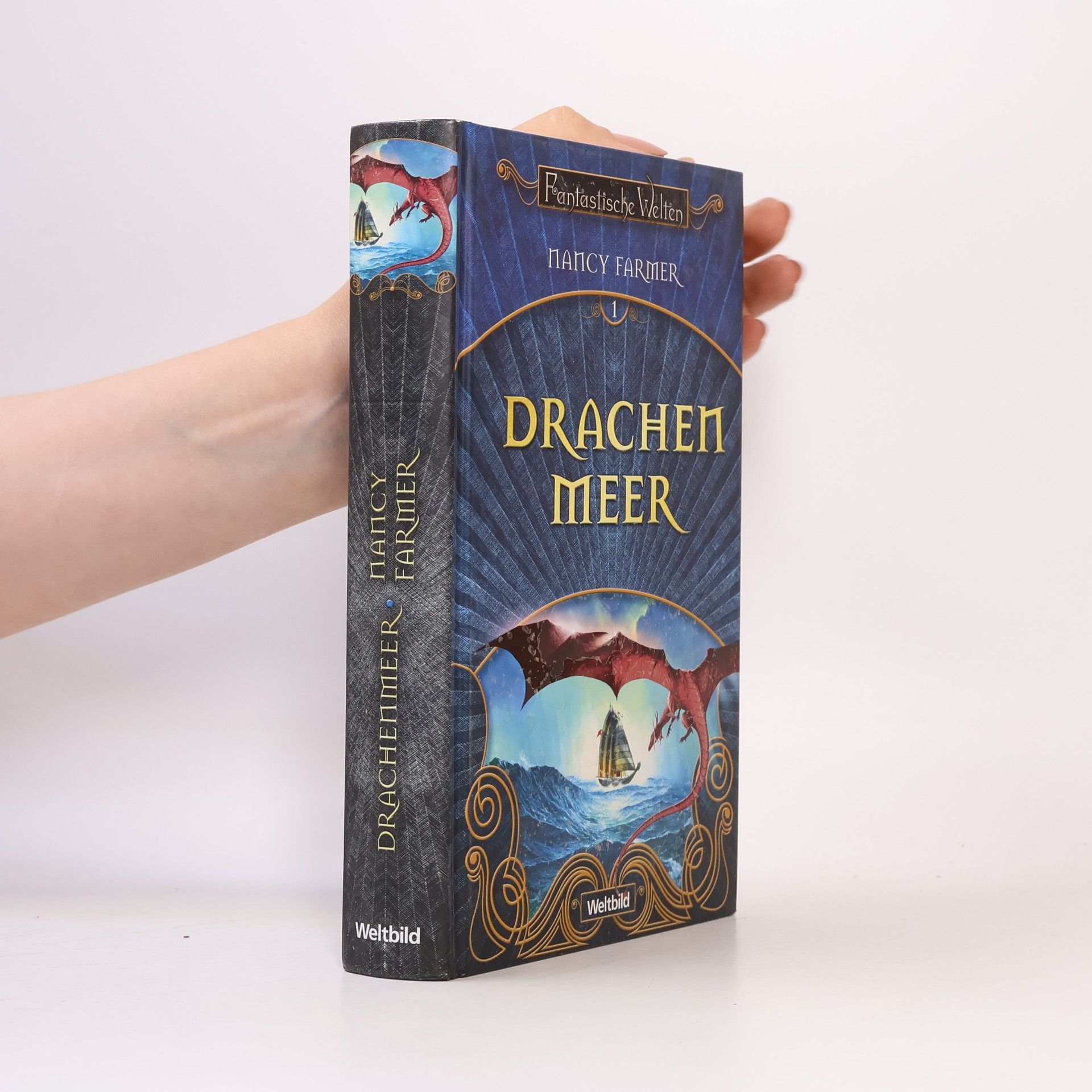 Nancy Farmer Drachen Meer 1