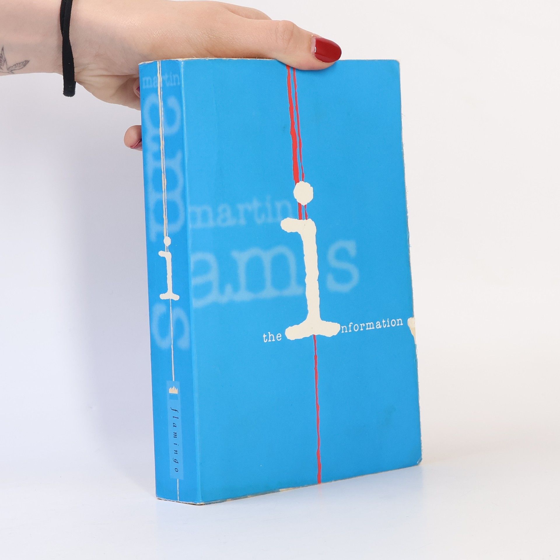 Martin Amis The Information