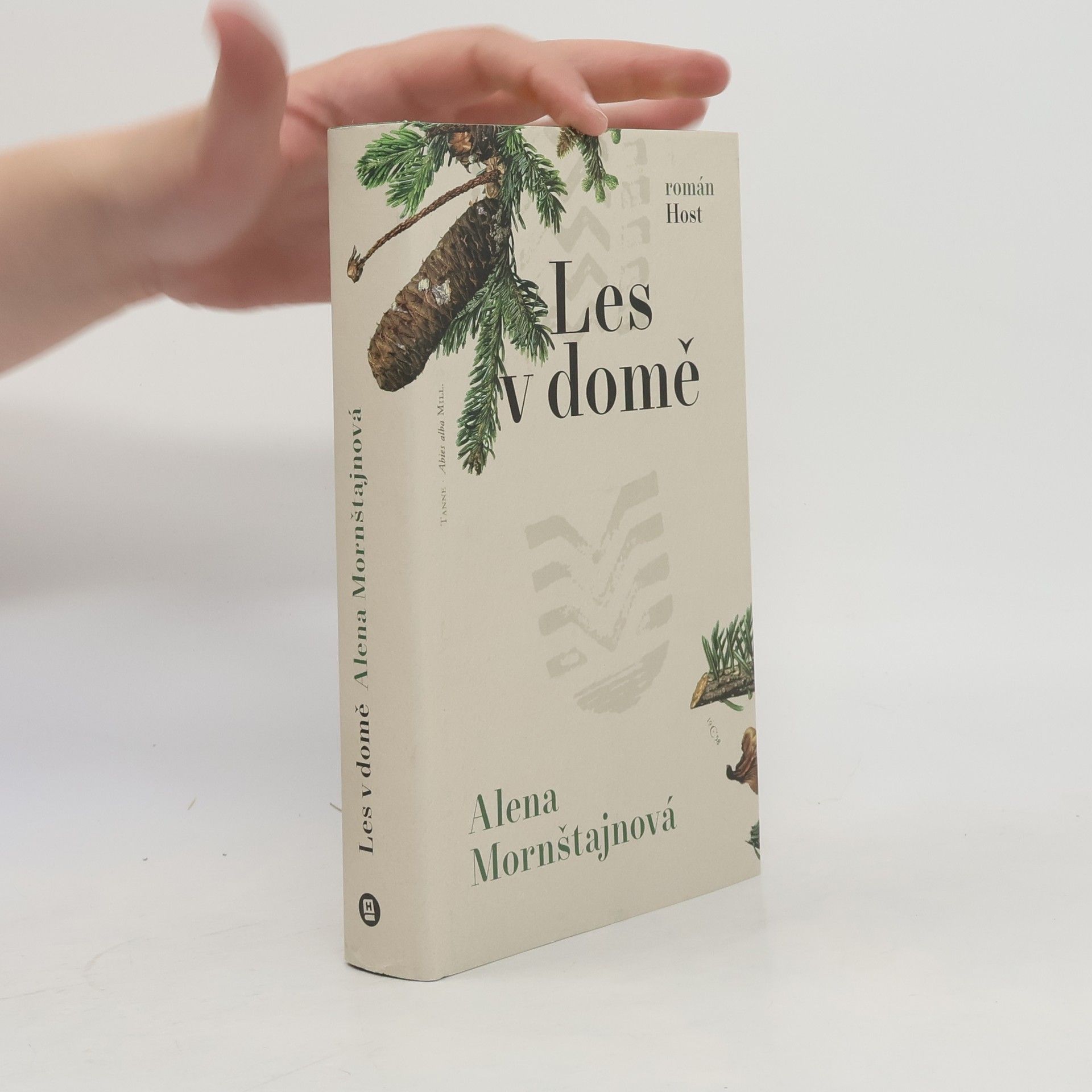 Alena Mornštajnová Les v domě