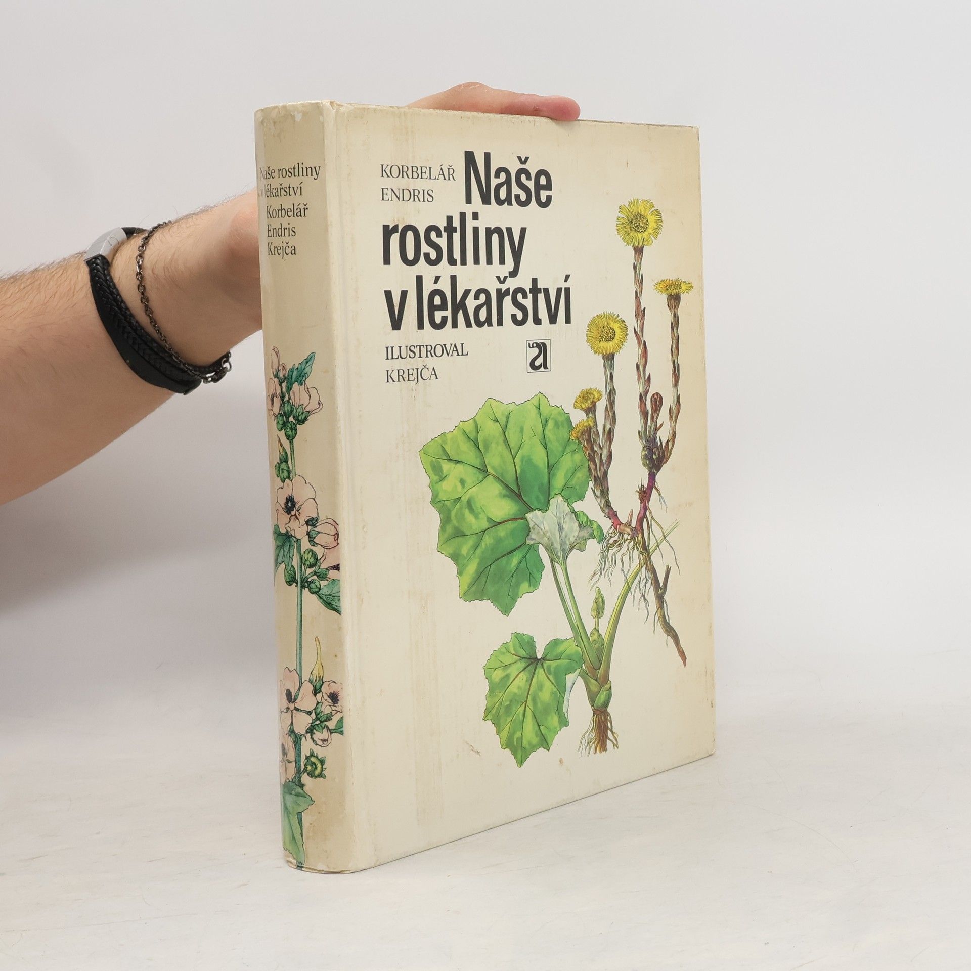 Jaroslav Korbelář Naše rostliny v lékařství