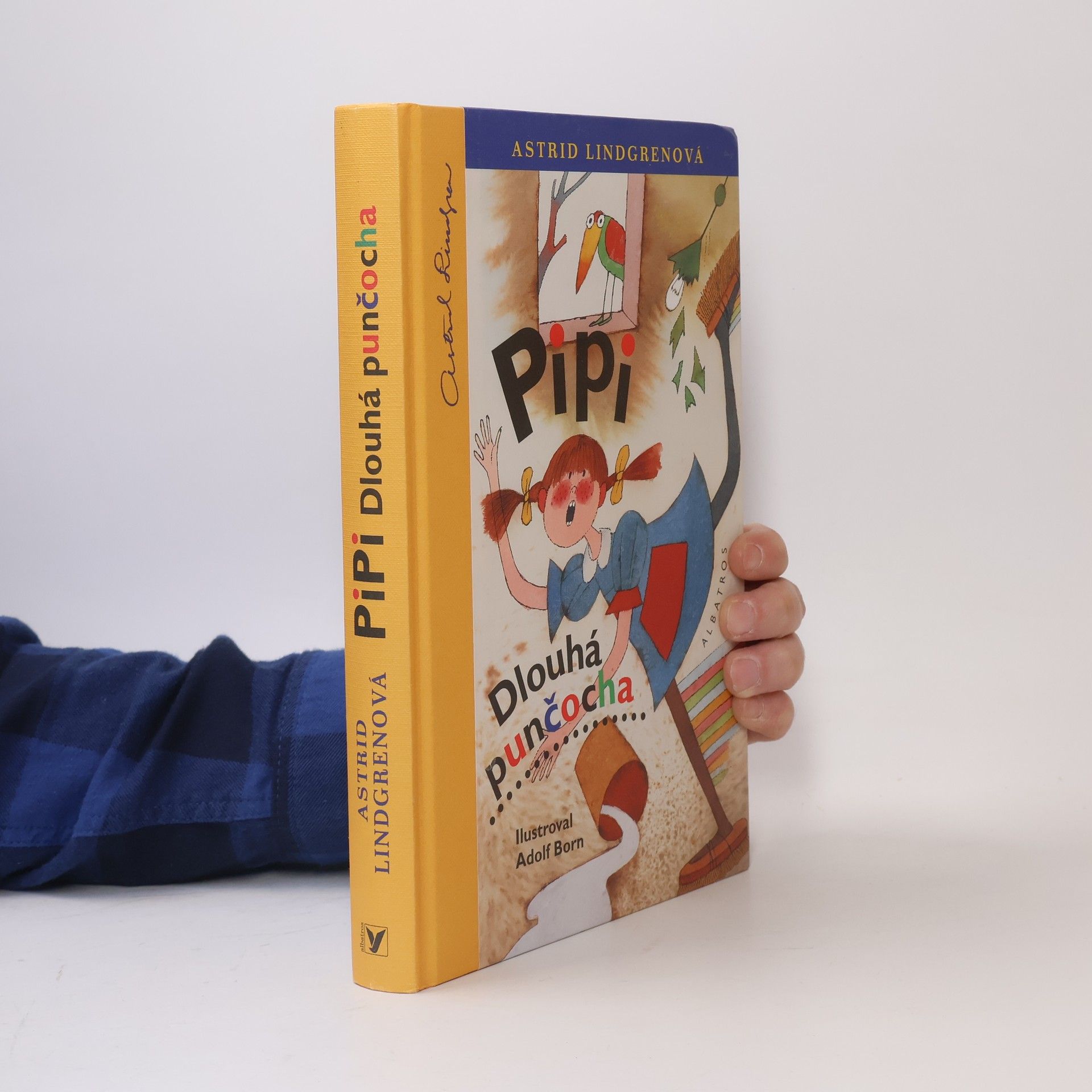 Astrid Lindgren Pipi Dlouhá punčocha