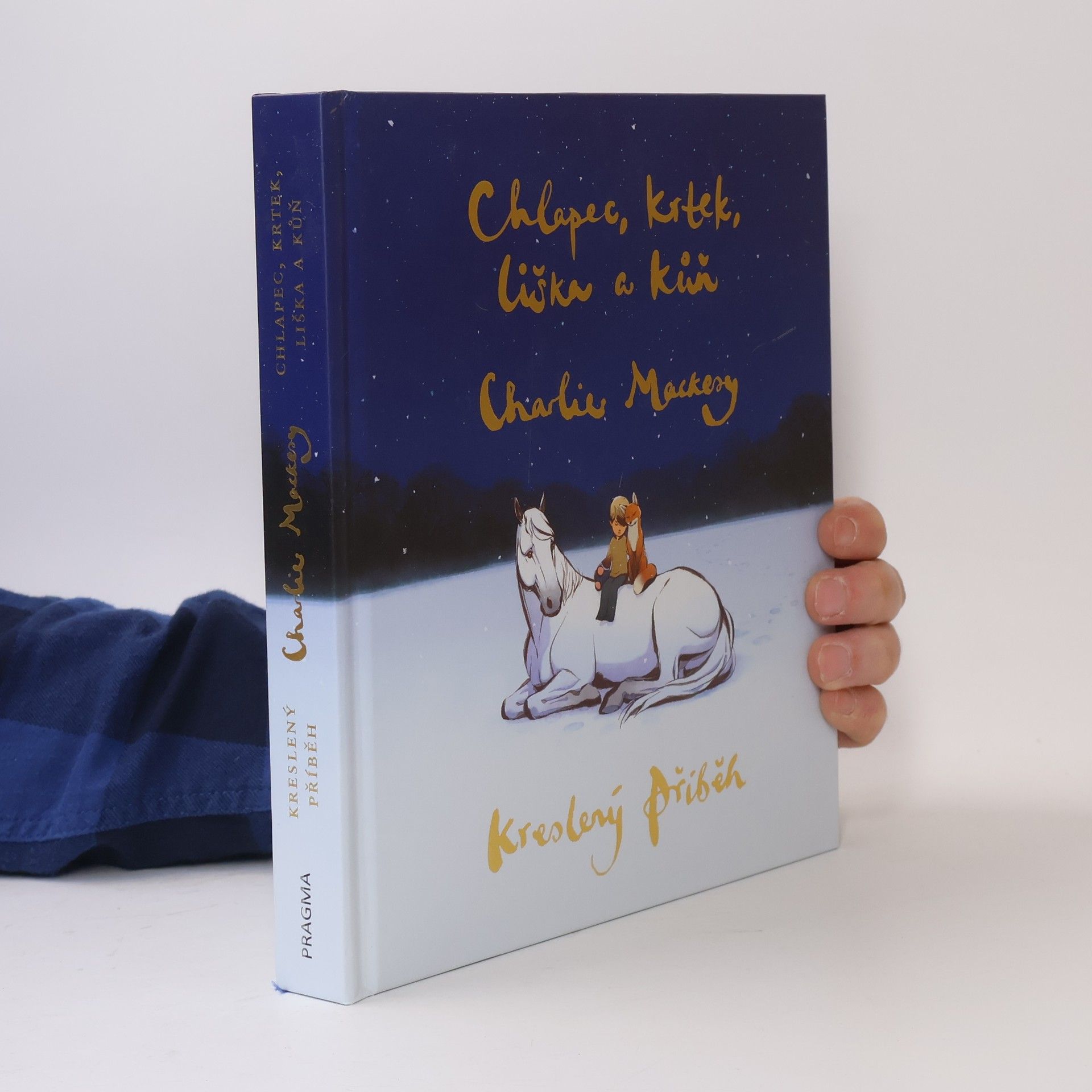 Charlie Mackesy Chlapec, krtek, liška a kůň : kreslený příběh