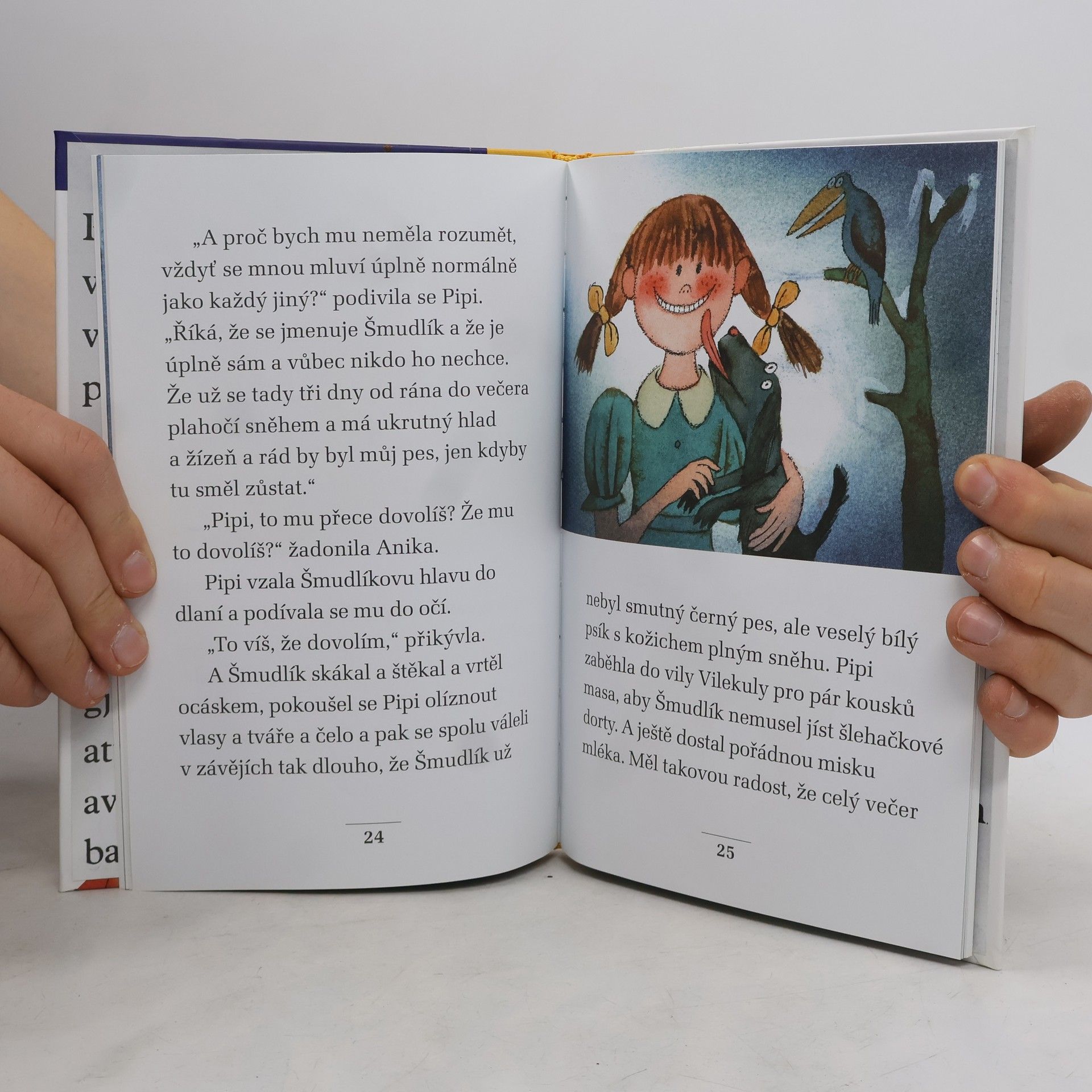 Astrid Lindgren Vánoční večírek Pipi Dlouhé punčochy