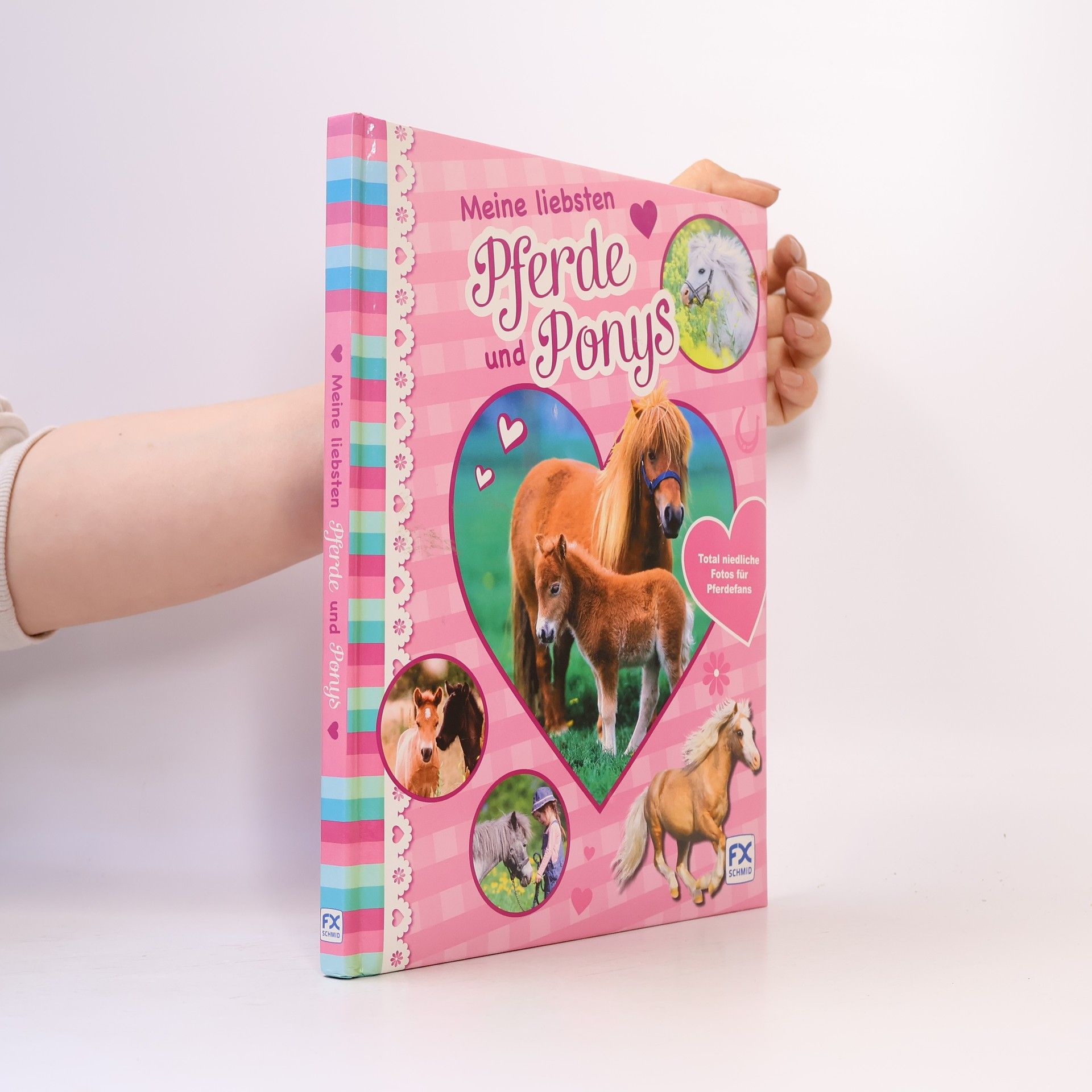 Laura Aceti Meine liebsten Pferde und Ponys