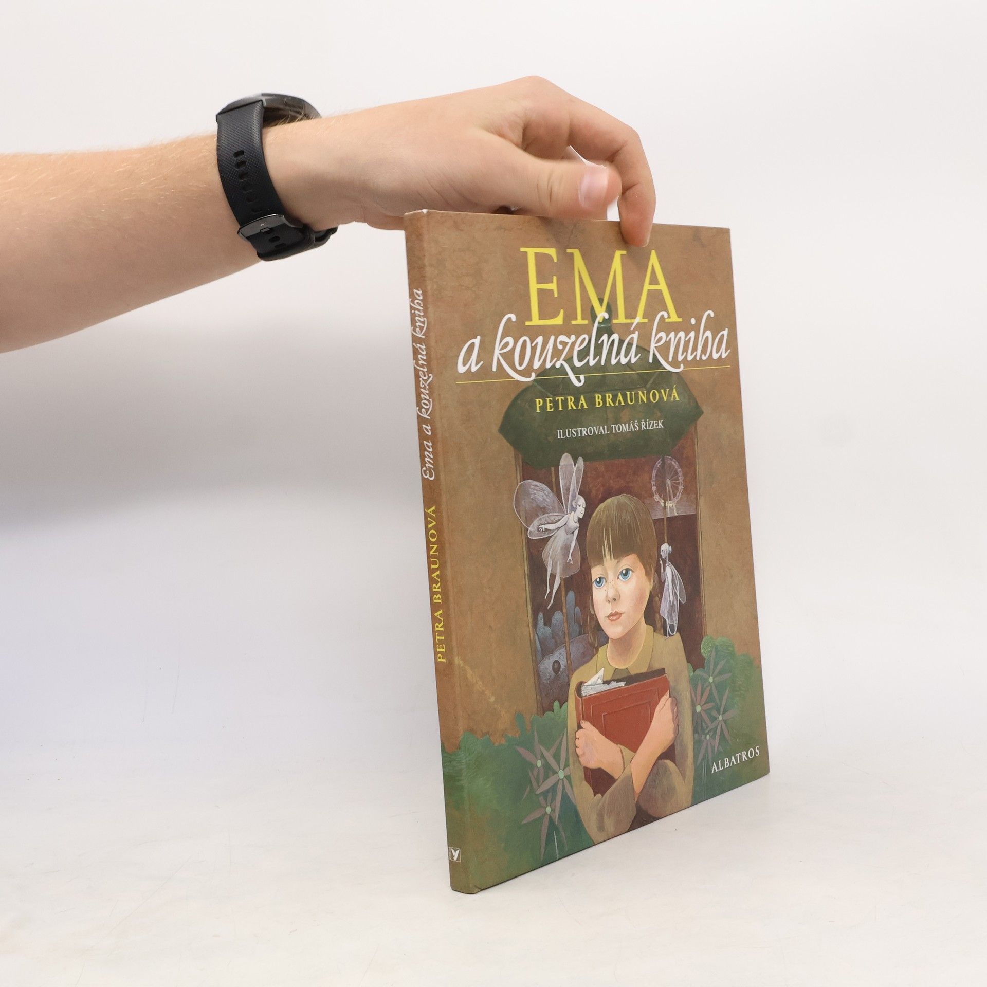 Amanda Hall Bible : příběhy na každý den