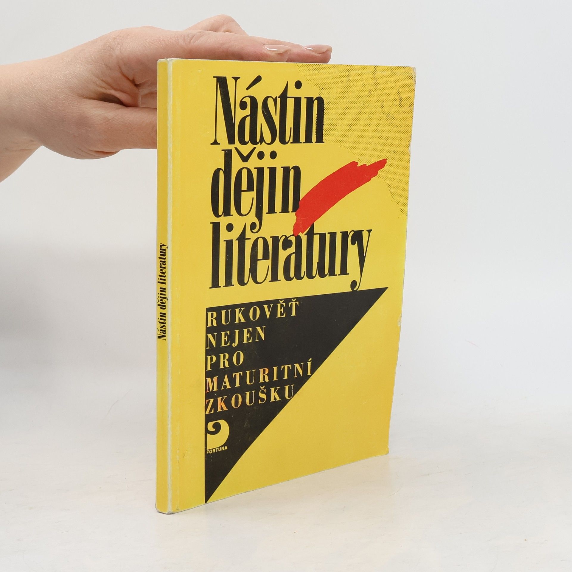 Nástin dějin literatury : rukověť nejen pro maturitní zkoušku