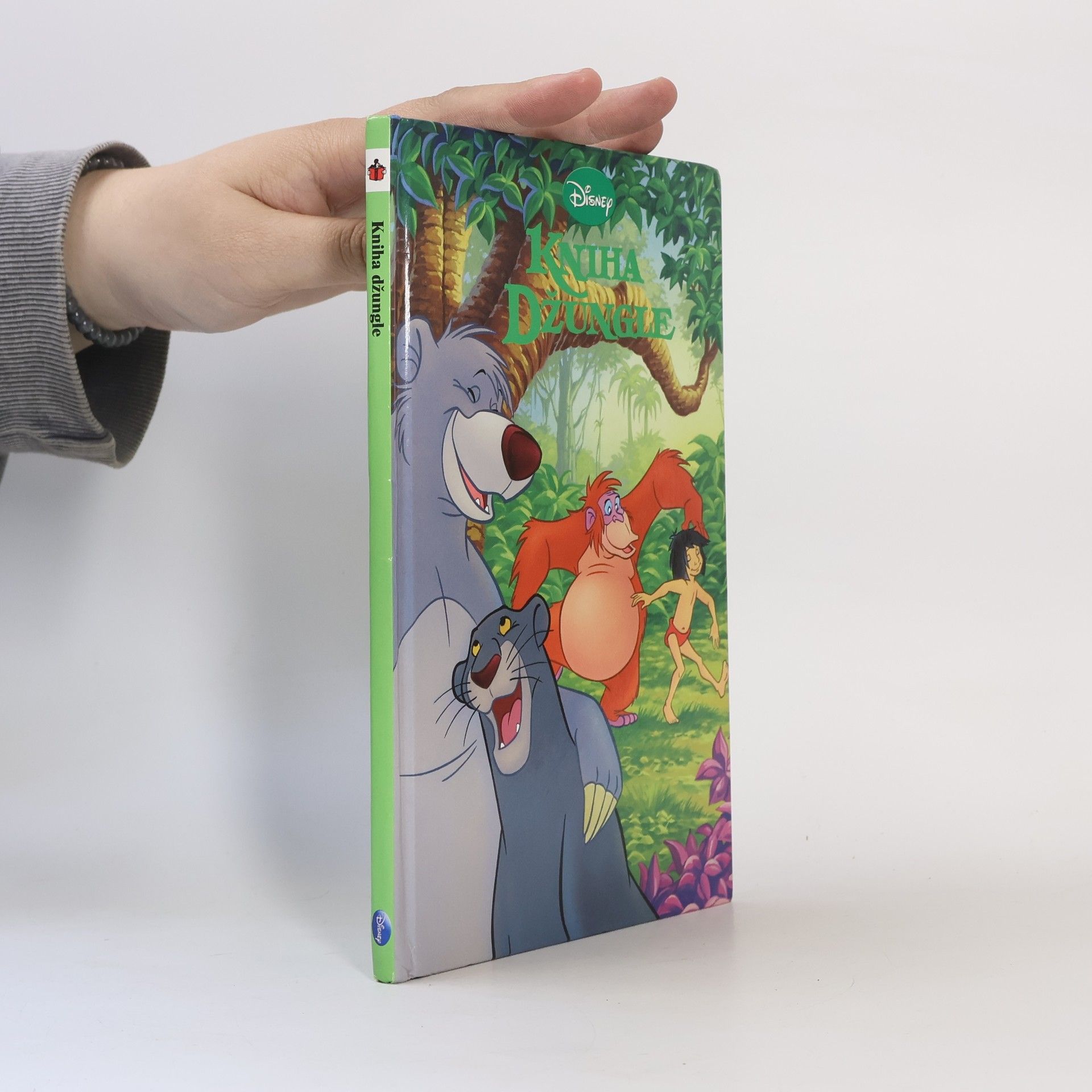 Autores varios Kniha Džungle