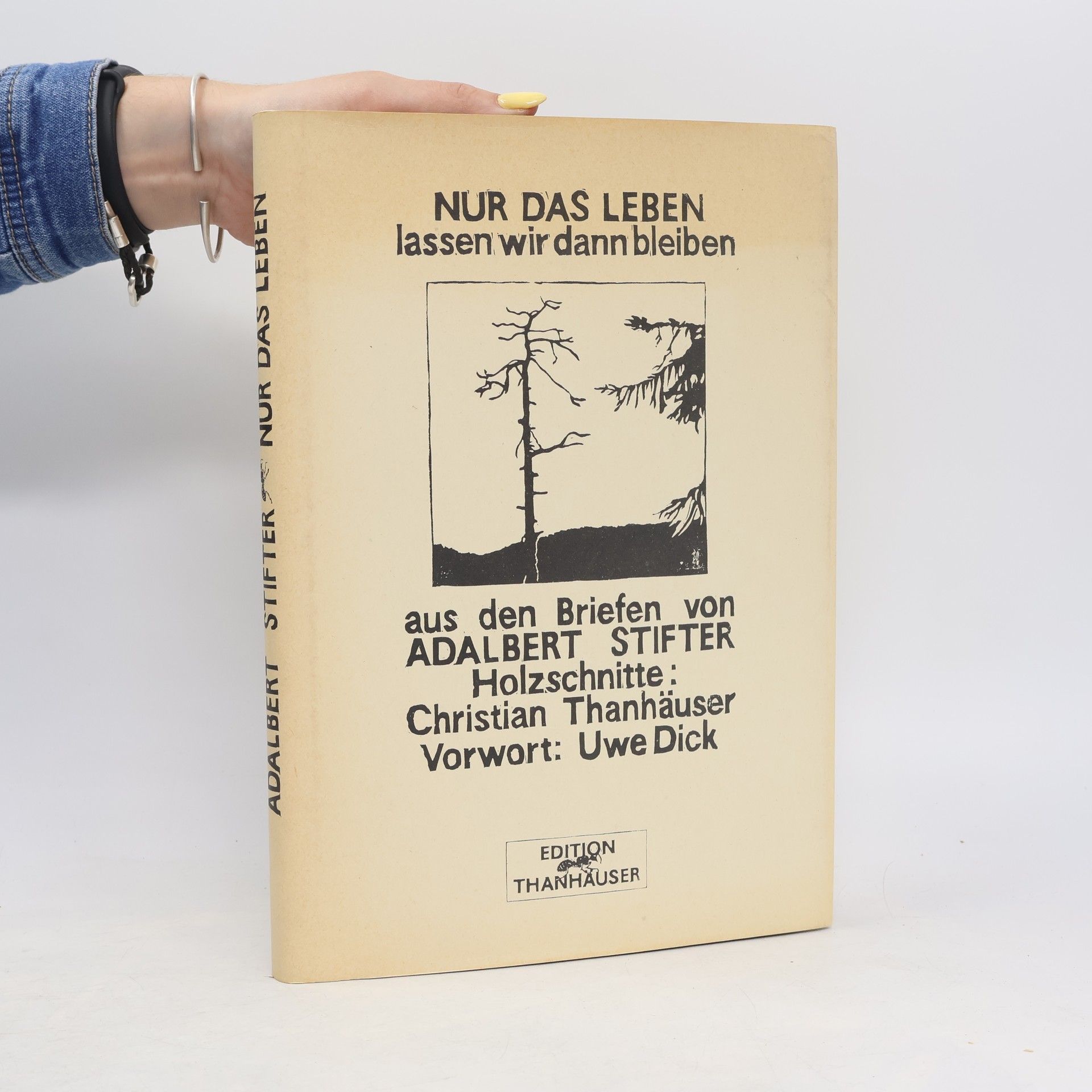 Adalbert Stifter Nur das Leben lassen wir dann bleiben