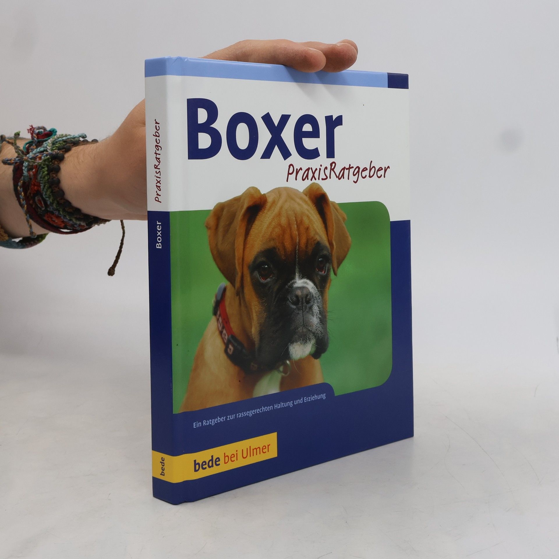 Boxer