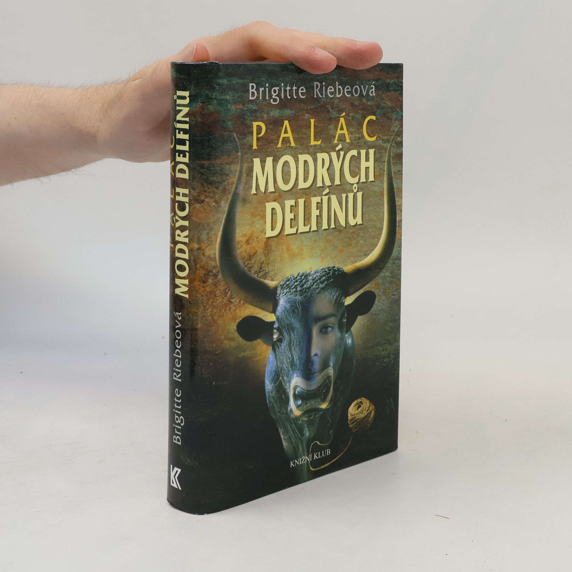 Brigitte Riebe Palác modrých delfínů