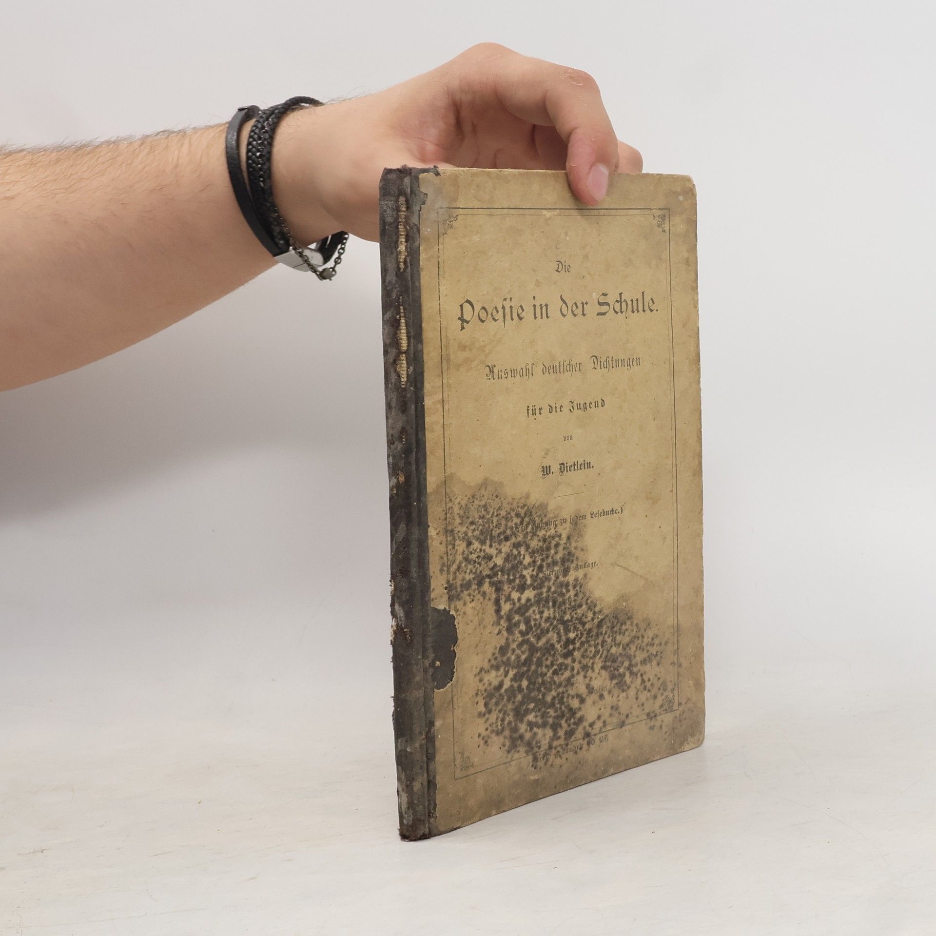 Autores varios Die Poesie in der Schule